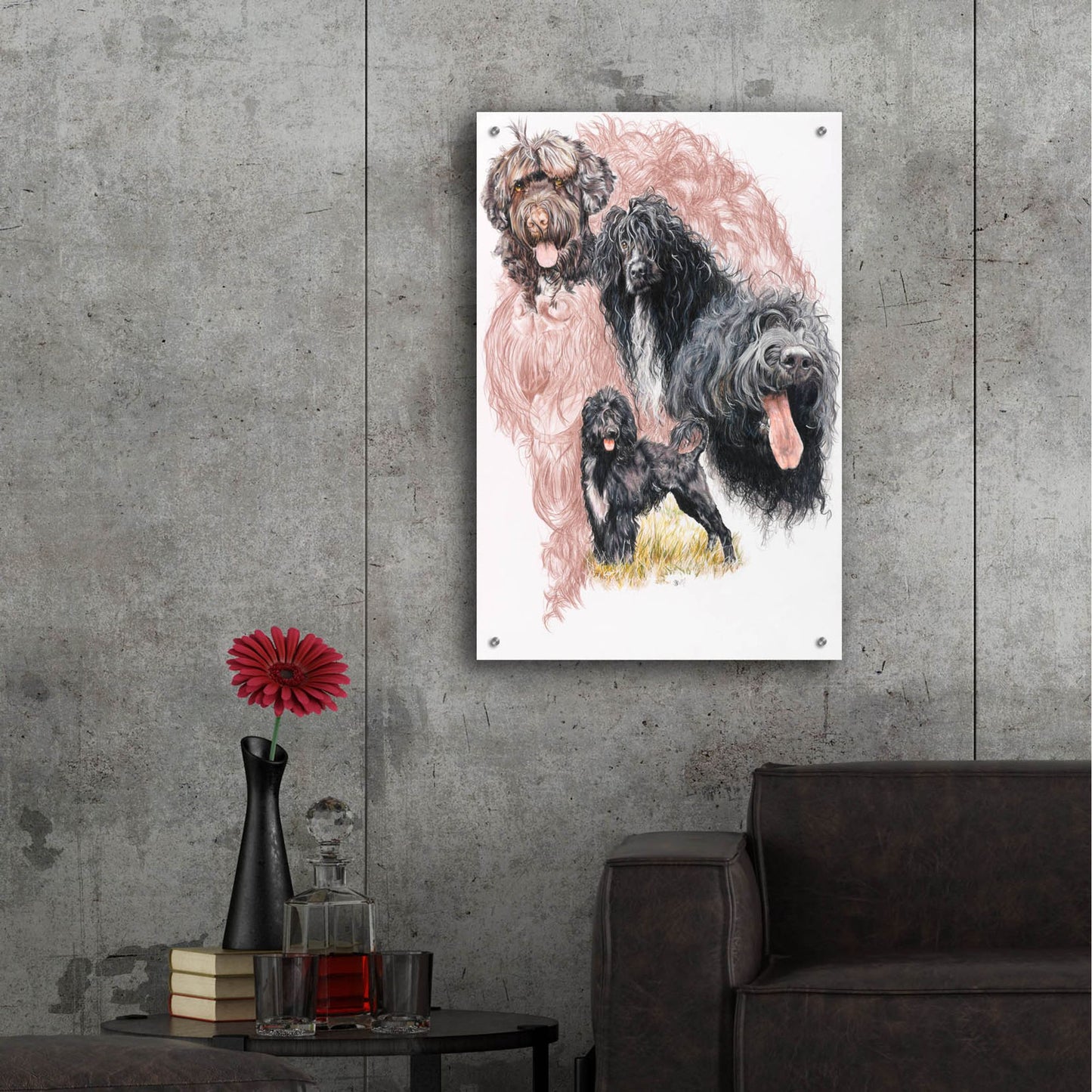 Epic Art 'Portuguese Water Dog' by Barbara Keith, Acrylic Glass Wall Art,24x36