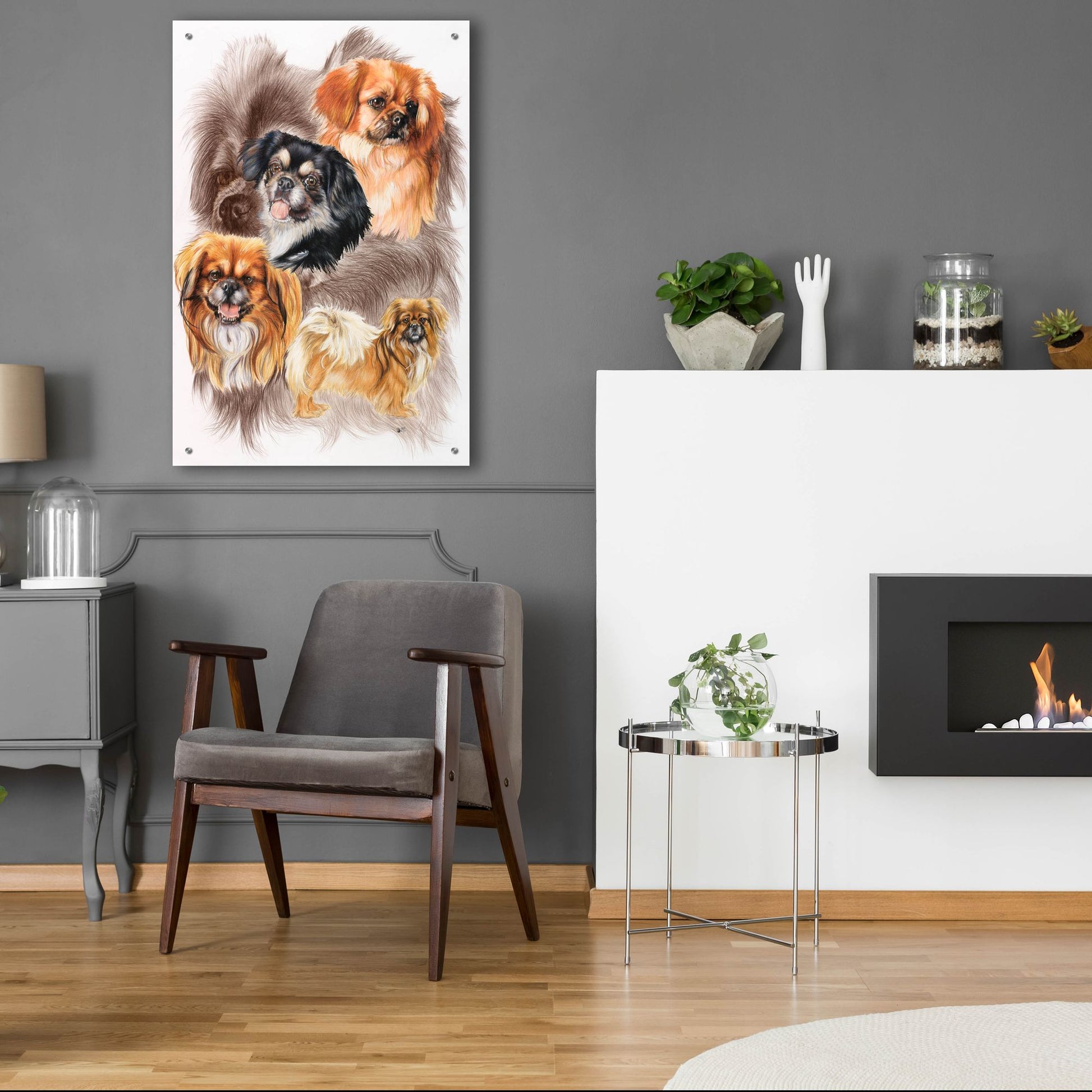 Epic Art 'Tibetan Spaniel 2' by Barbara Keith, Acrylic Glass Wall Art,24x36