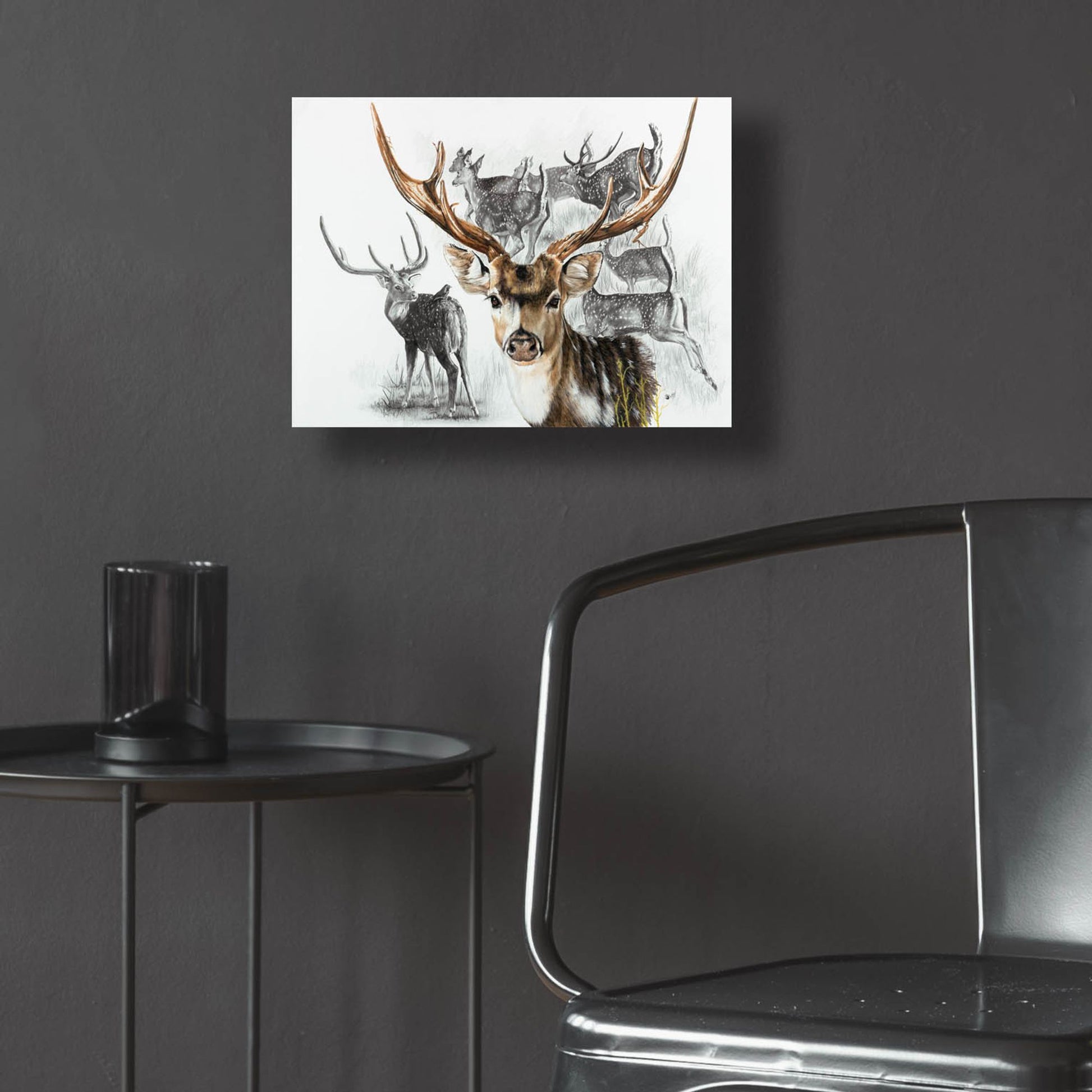 Epic Art 'Axis Deer' by Barbara Keith, Acrylic Glass Wall Art,16x12