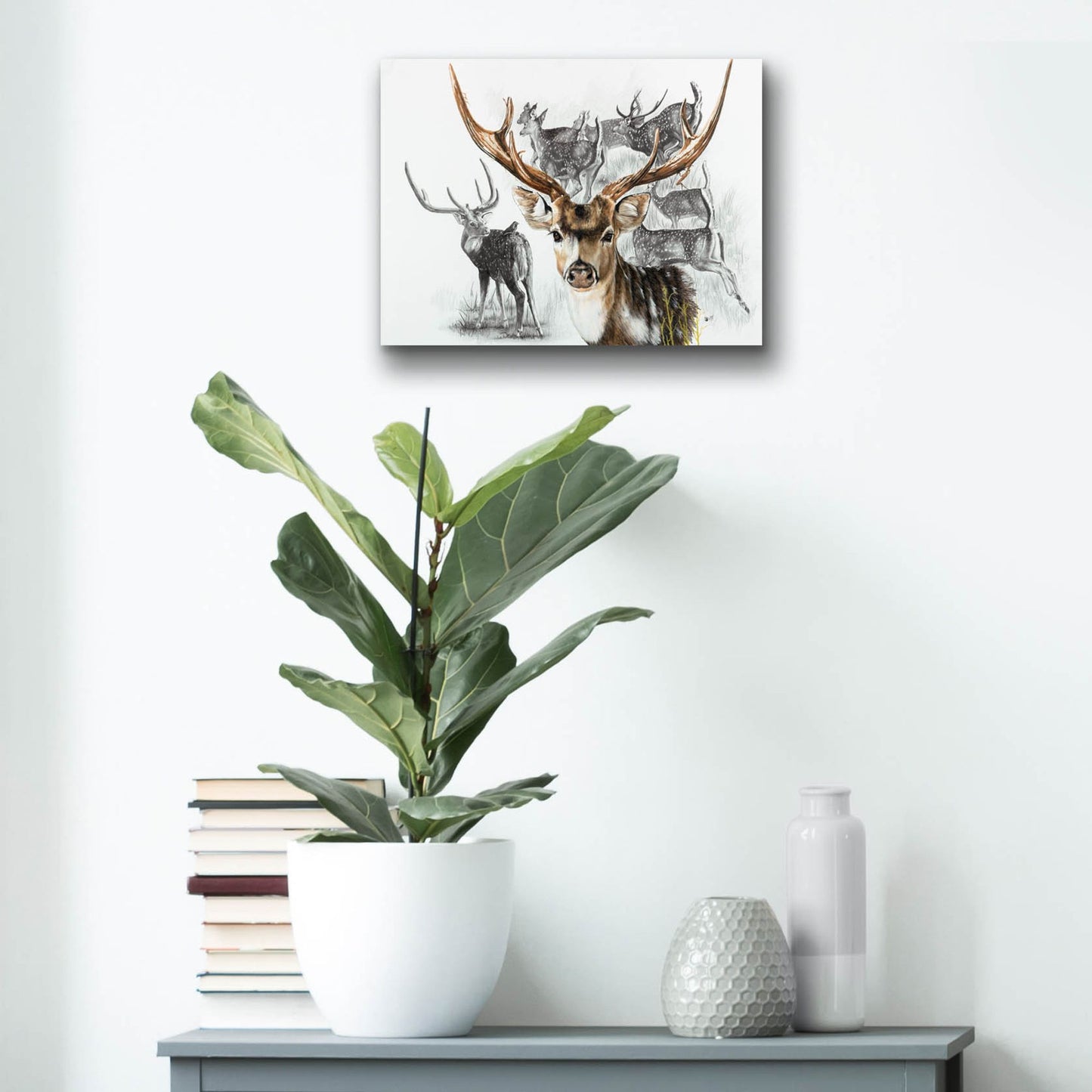 Epic Art 'Axis Deer' by Barbara Keith, Acrylic Glass Wall Art,16x12