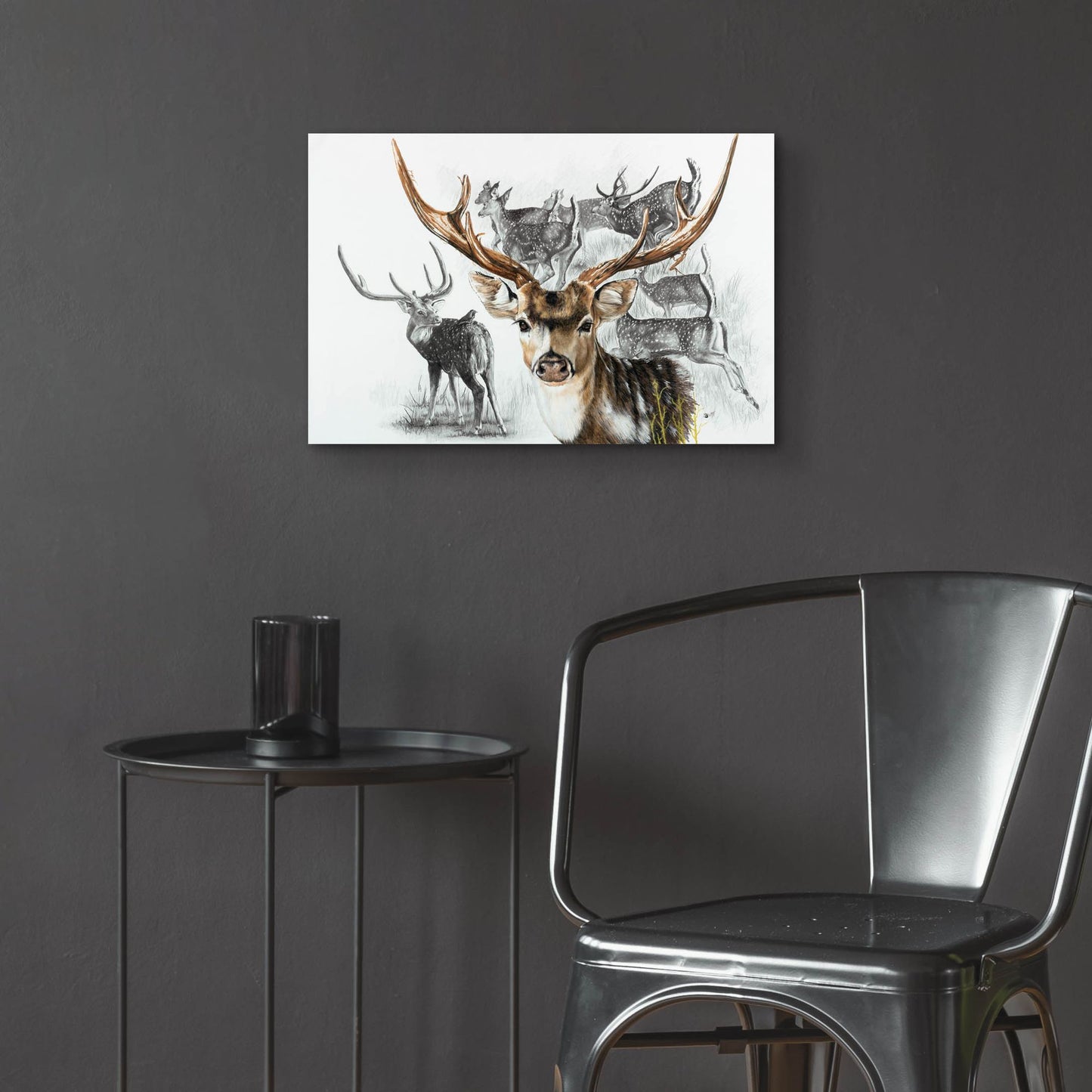 Epic Art 'Axis Deer' by Barbara Keith, Acrylic Glass Wall Art,24x16