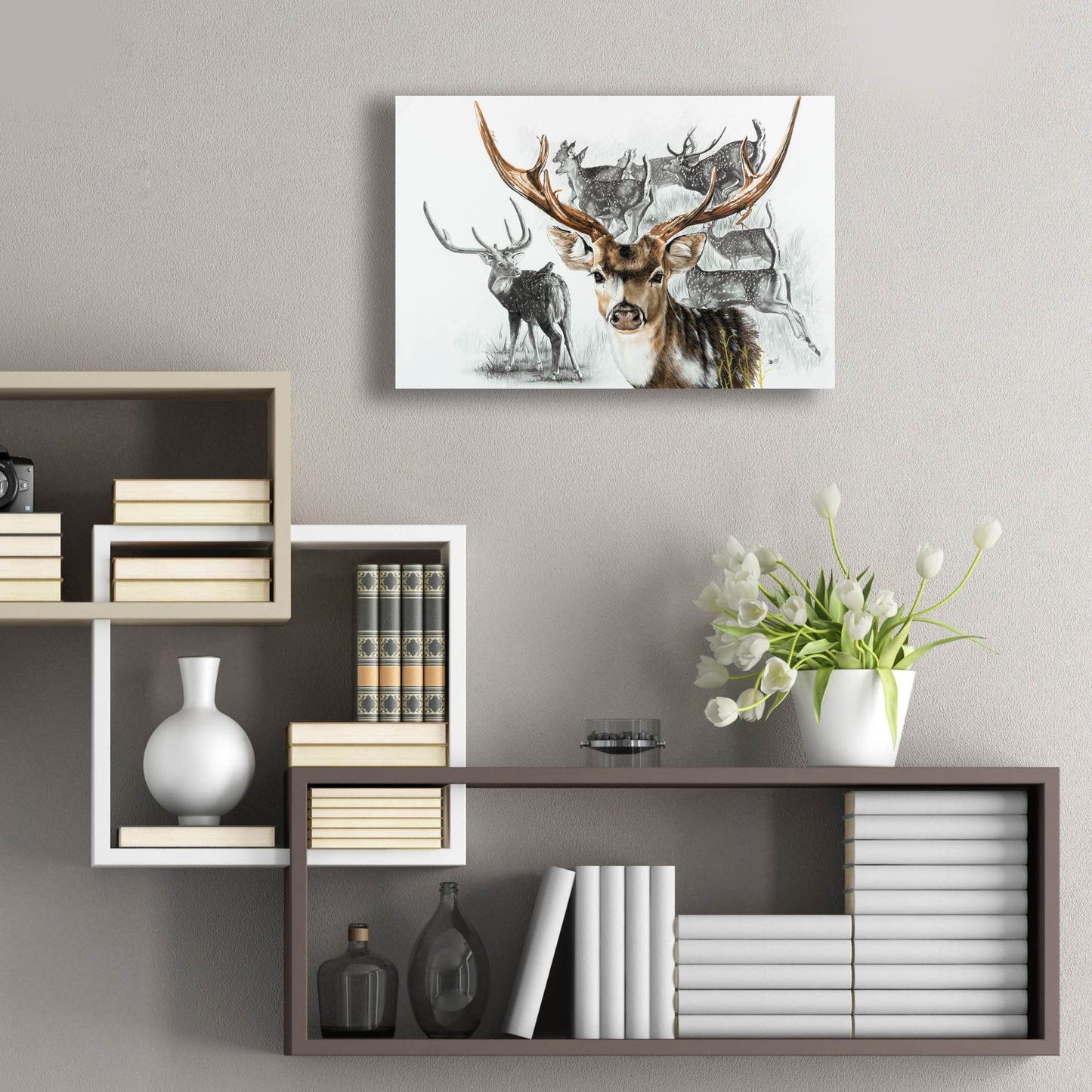 Epic Art 'Axis Deer' by Barbara Keith, Acrylic Glass Wall Art,24x16