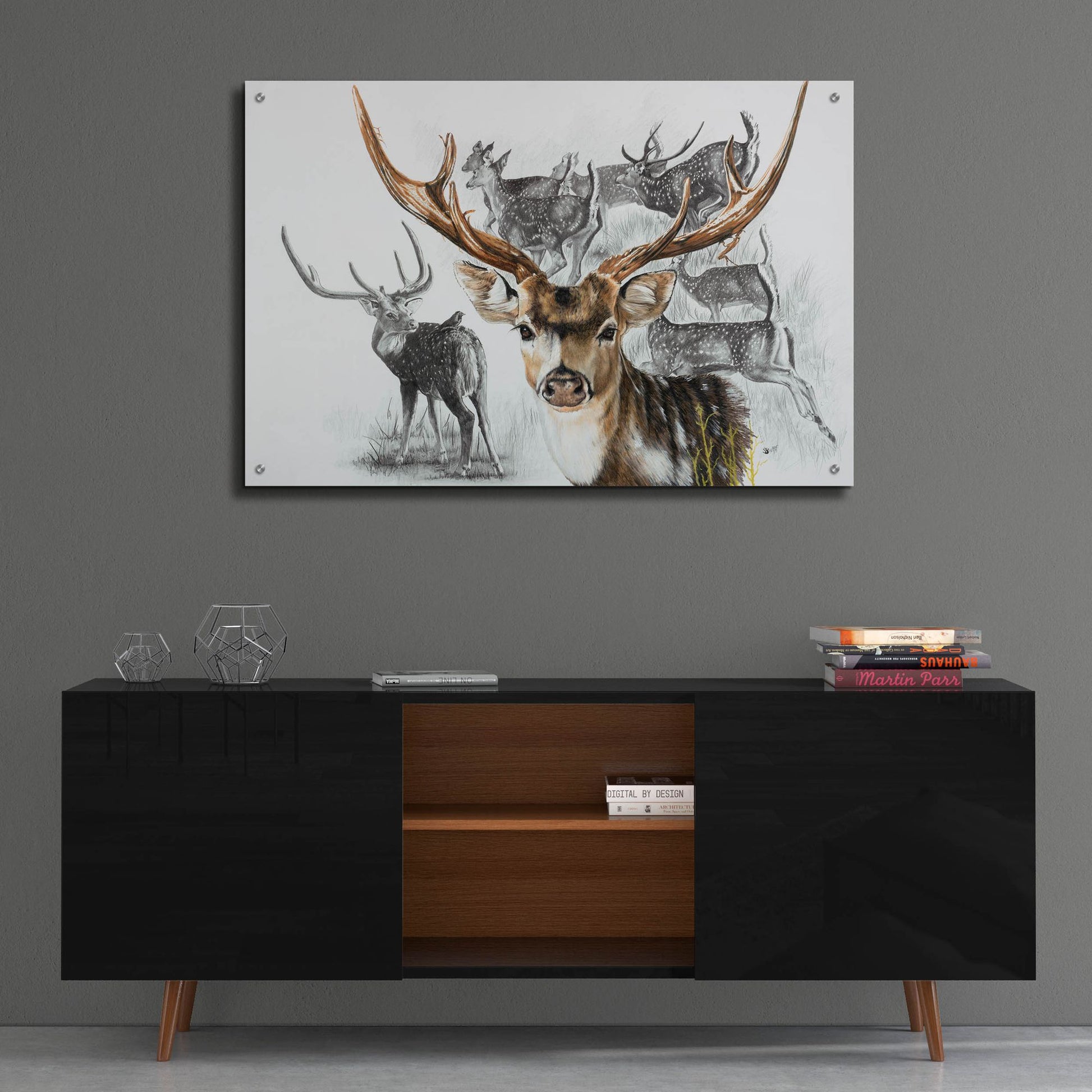 Epic Art 'Axis Deer' by Barbara Keith, Acrylic Glass Wall Art,36x24