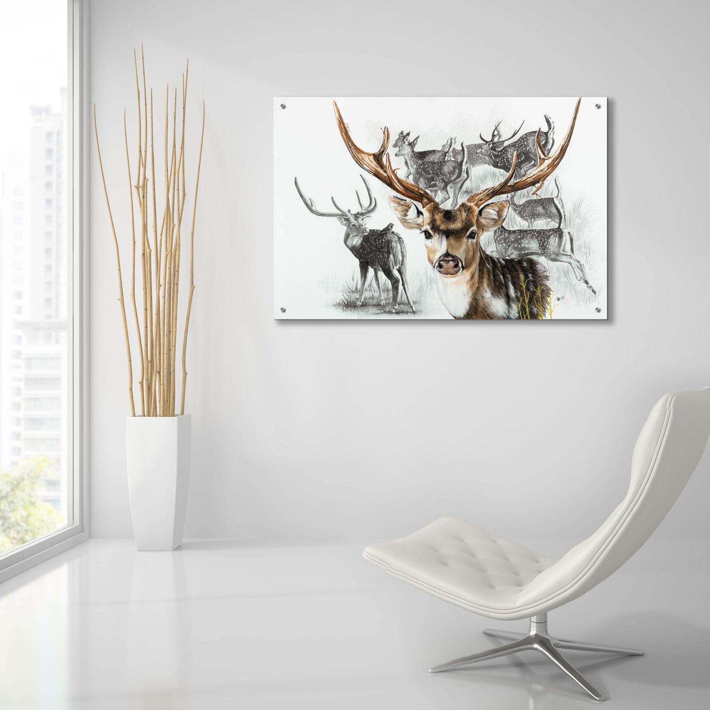 Epic Art 'Axis Deer' by Barbara Keith, Acrylic Glass Wall Art,36x24