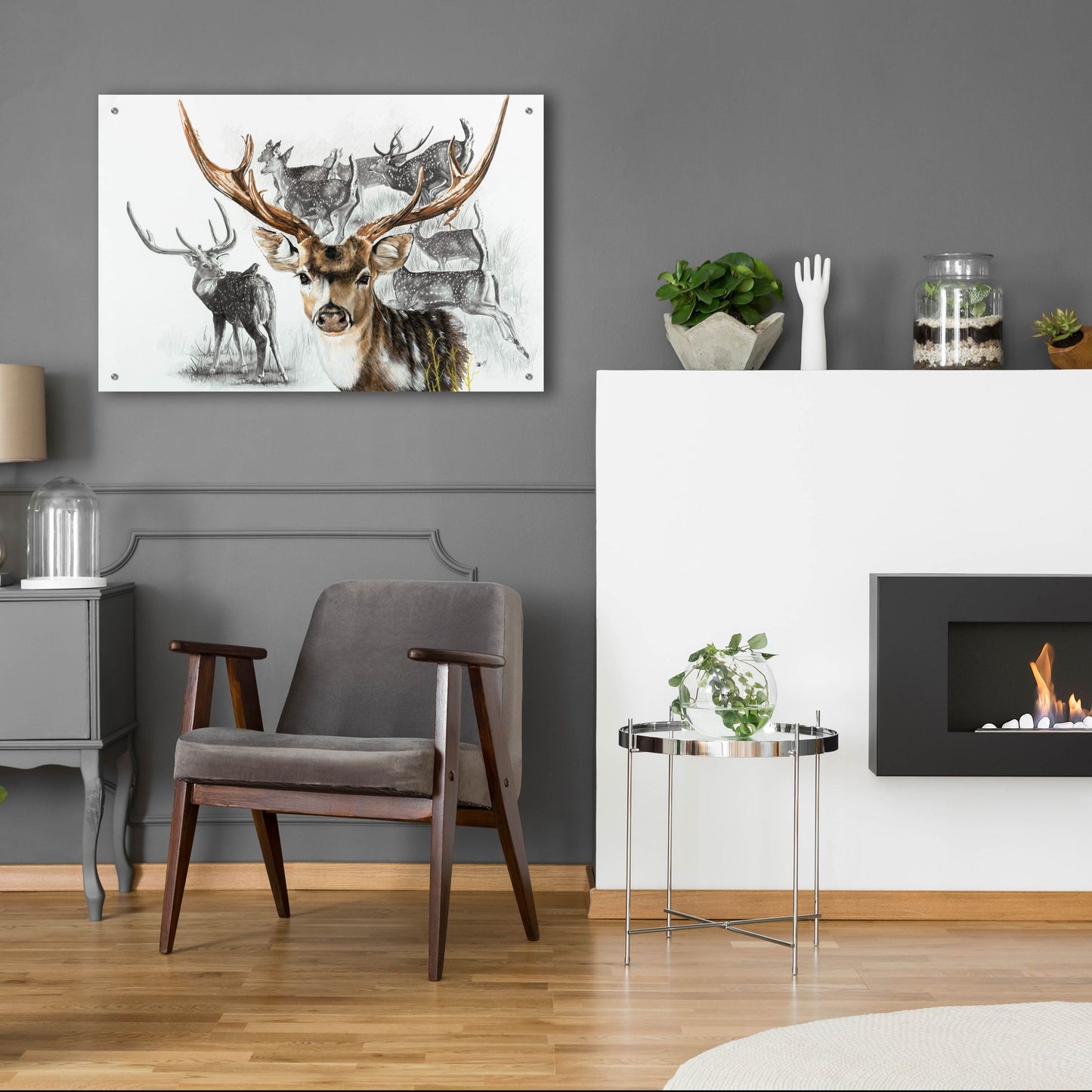 Epic Art 'Axis Deer' by Barbara Keith, Acrylic Glass Wall Art,36x24