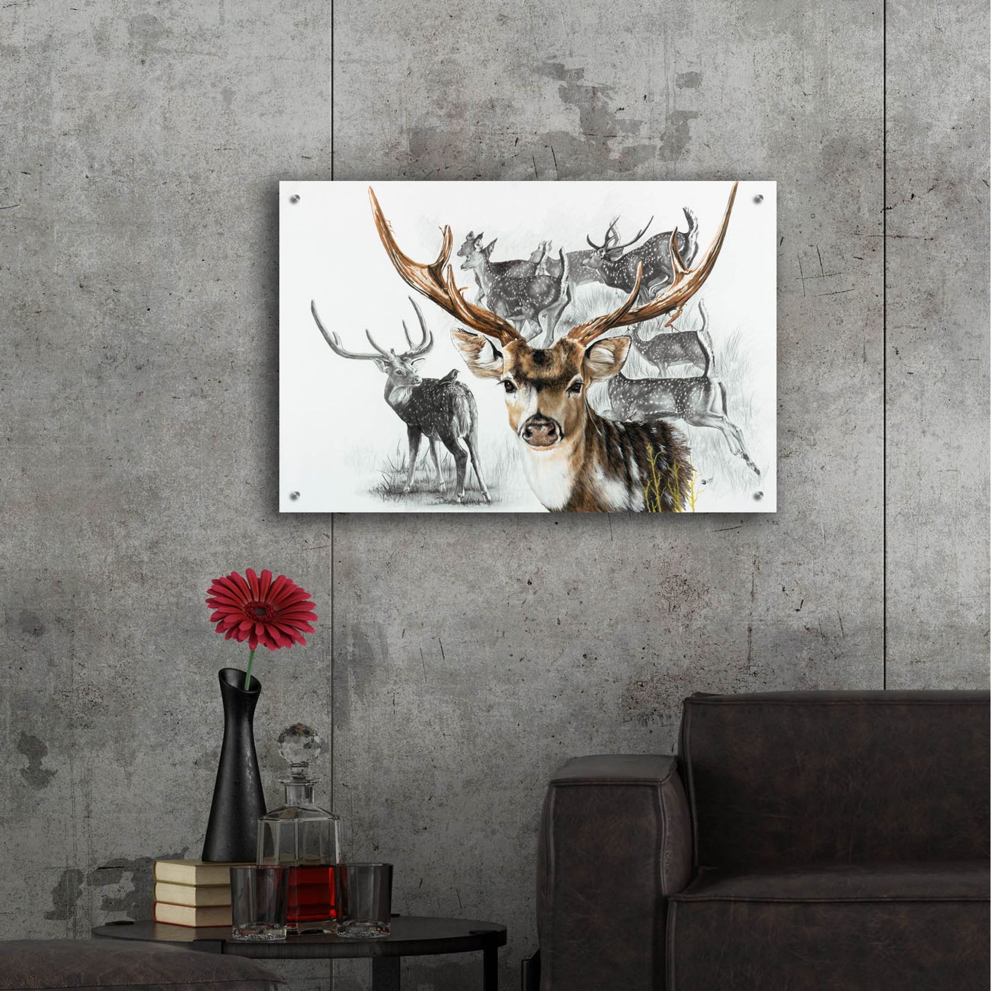 Epic Art 'Axis Deer' by Barbara Keith, Acrylic Glass Wall Art,36x24