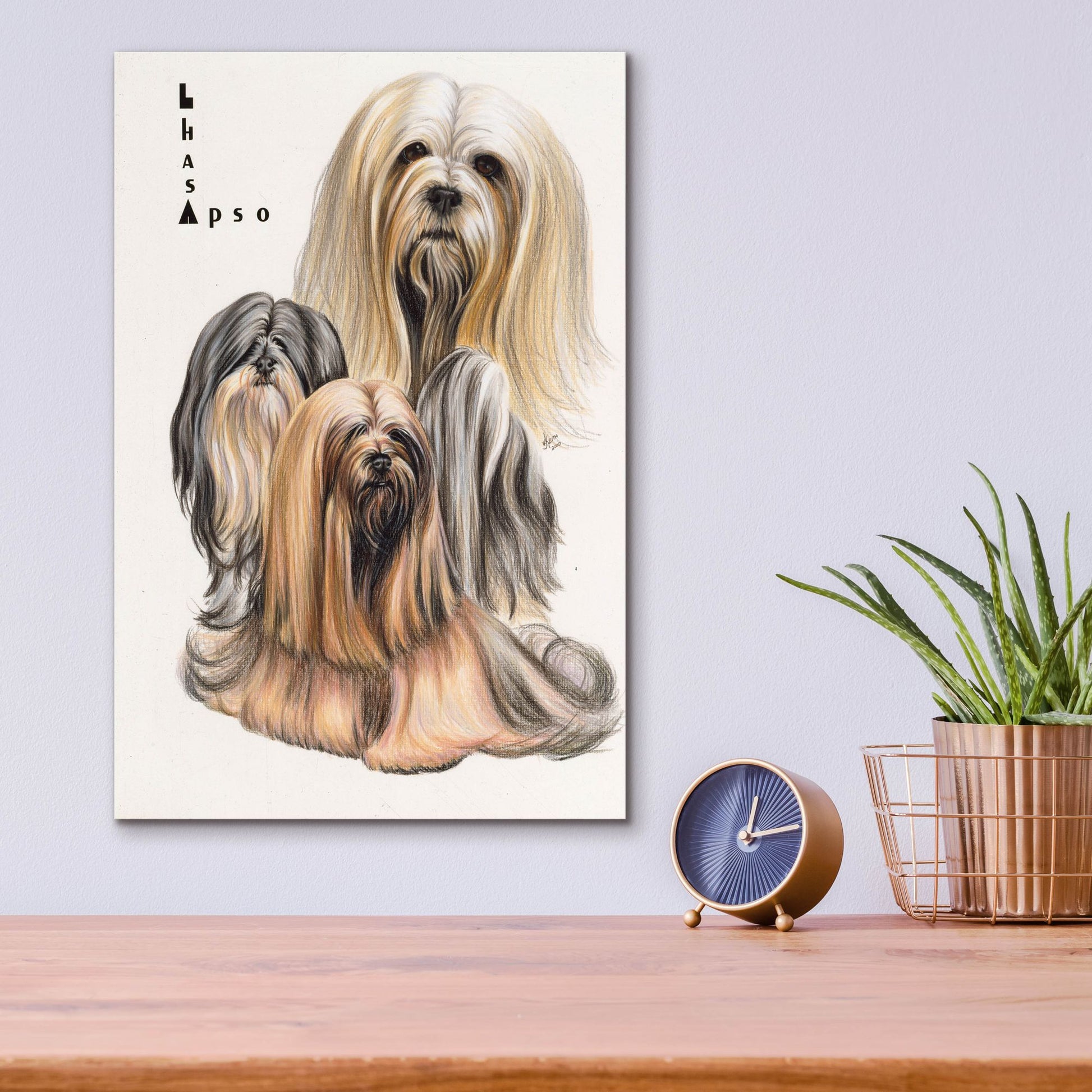 Epic Art 'Lhasa Apso' by Barbara Keith, Acrylic Glass Wall Art,12x16