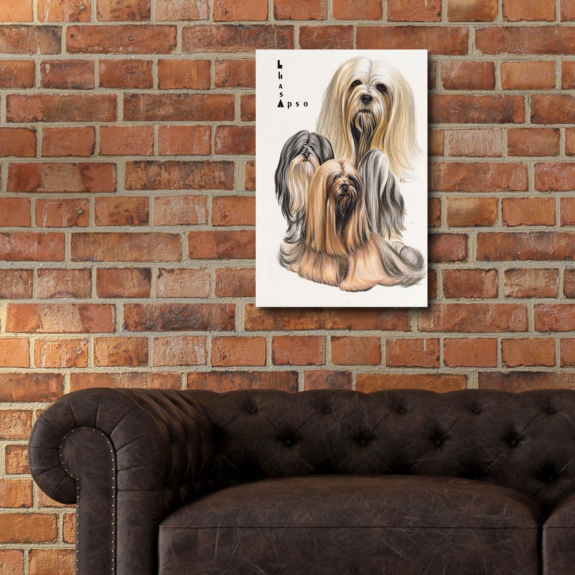 Epic Art 'Lhasa Apso' by Barbara Keith, Acrylic Glass Wall Art,16x24