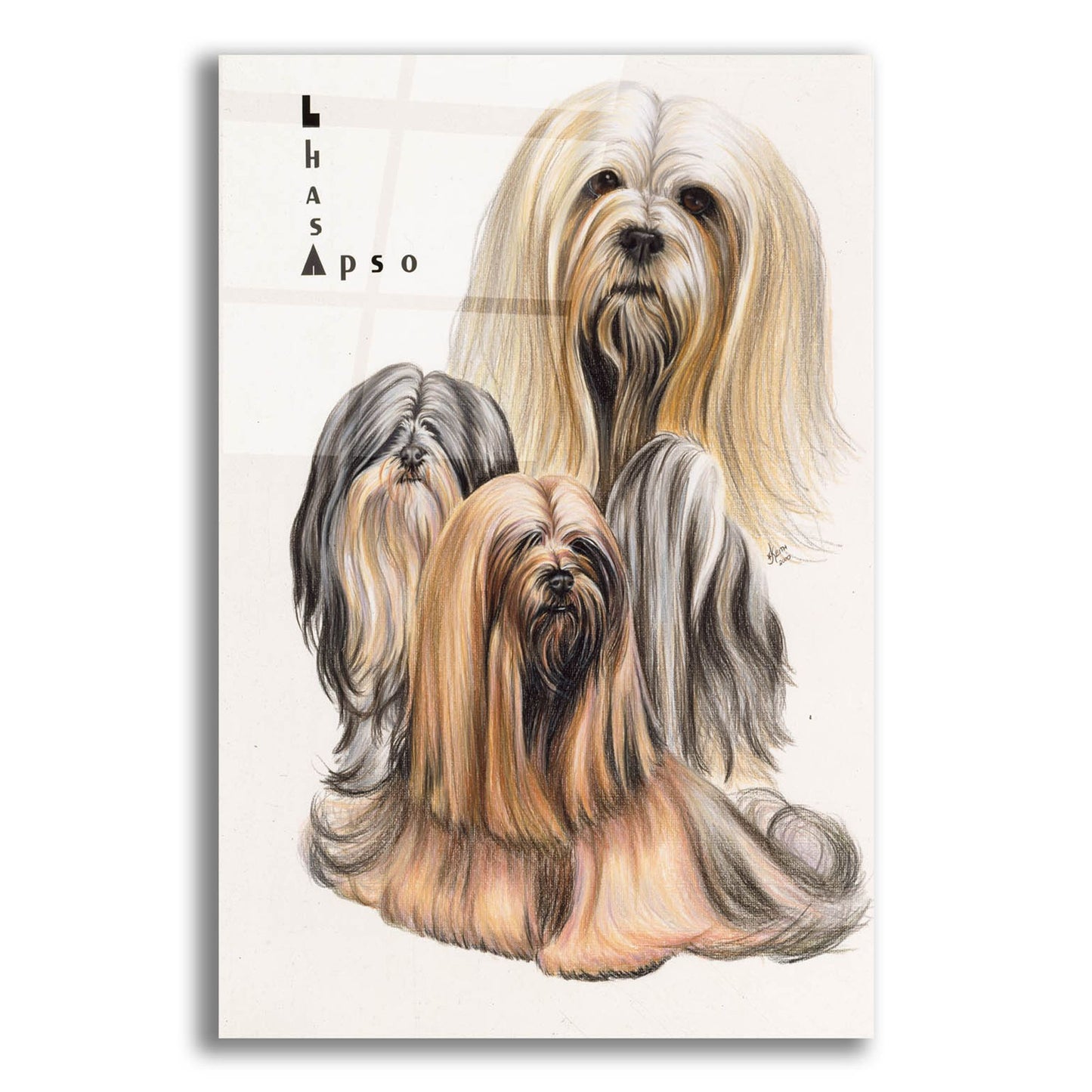 Epic Art 'Lhasa Apso' by Barbara Keith, Acrylic Glass Wall Art,16x24