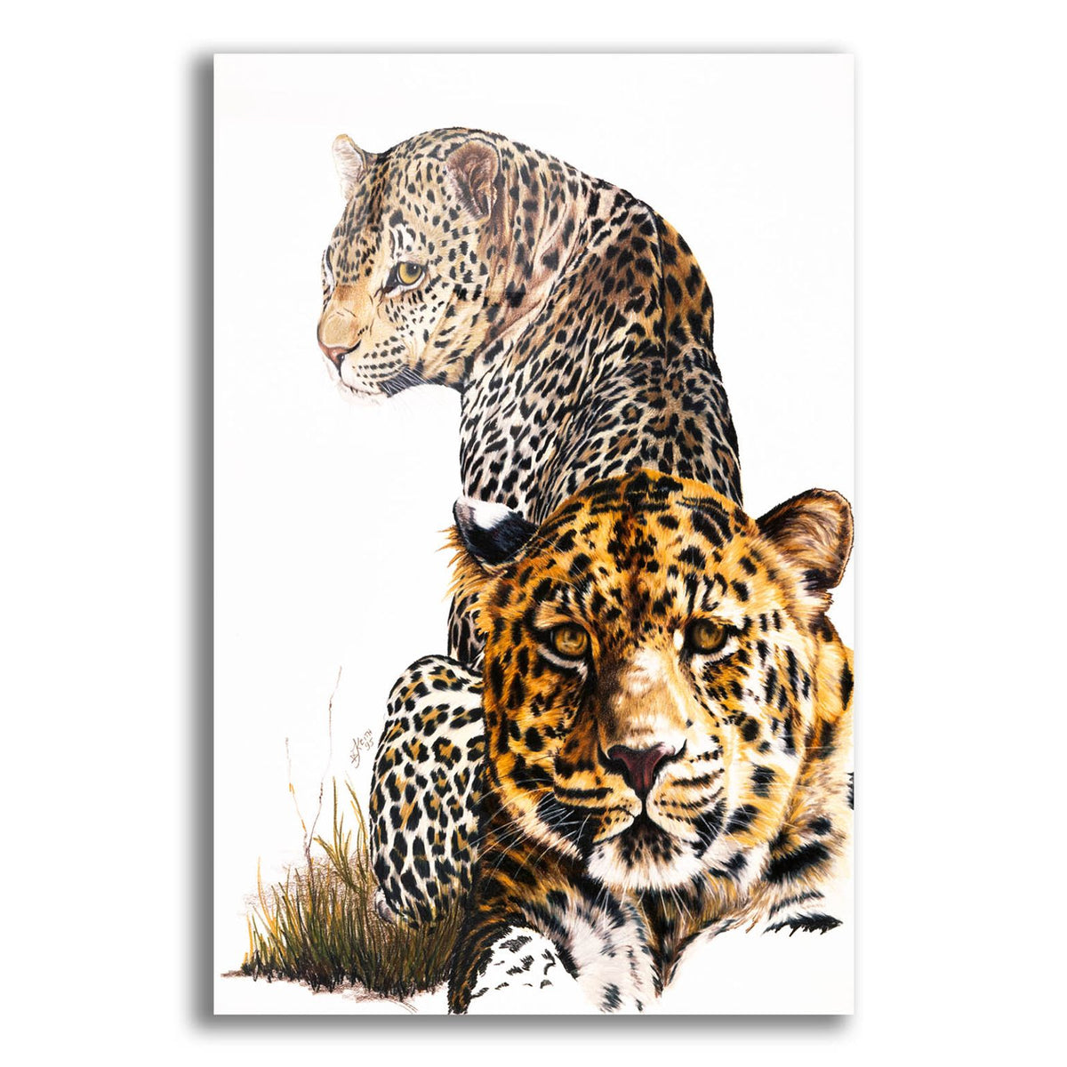 Scar Face by Barbara Keith acrylic glass wall art