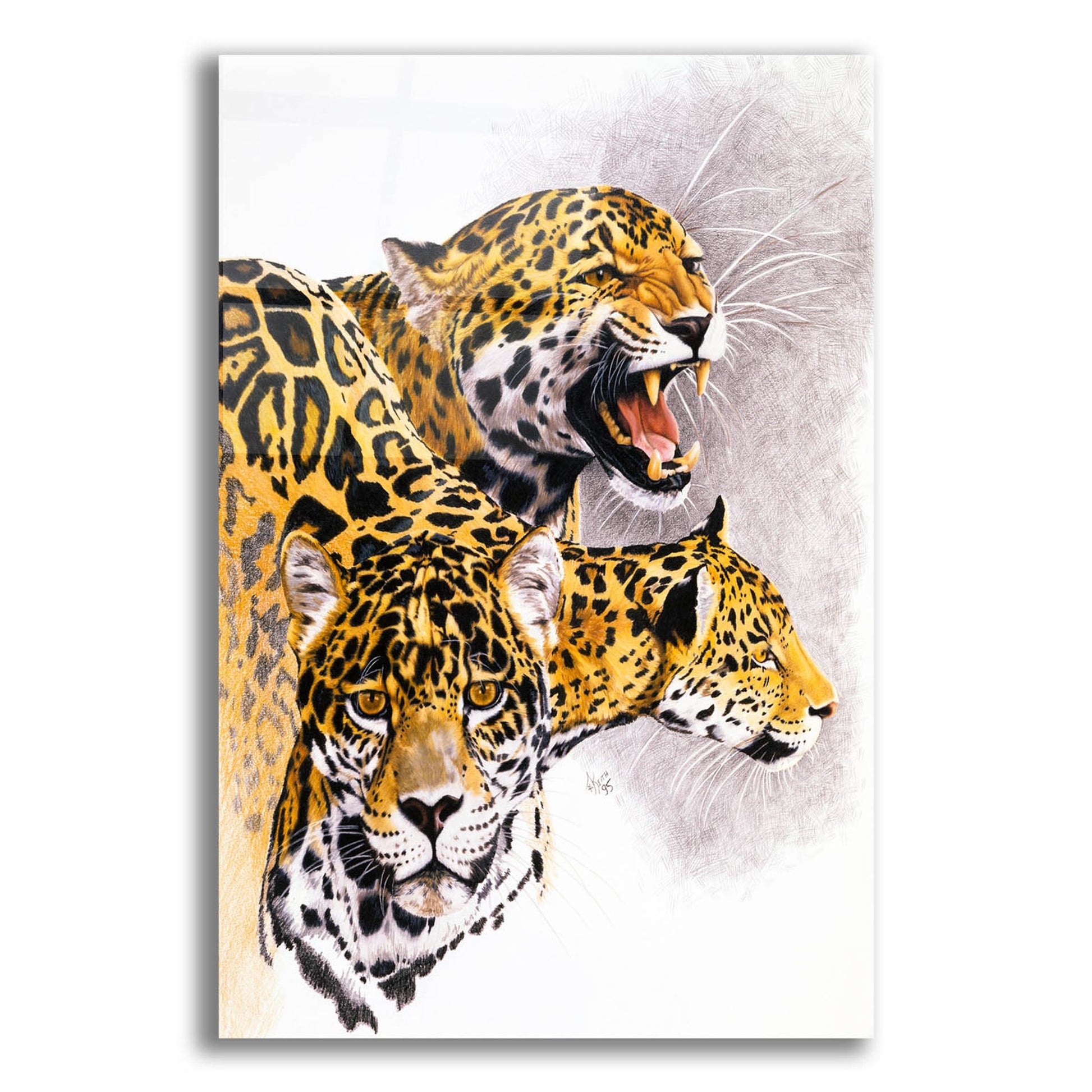 Epic Art 'Rain Forest Wrath' by Barbara Keith, Acrylic Glass Wall Art,12x16