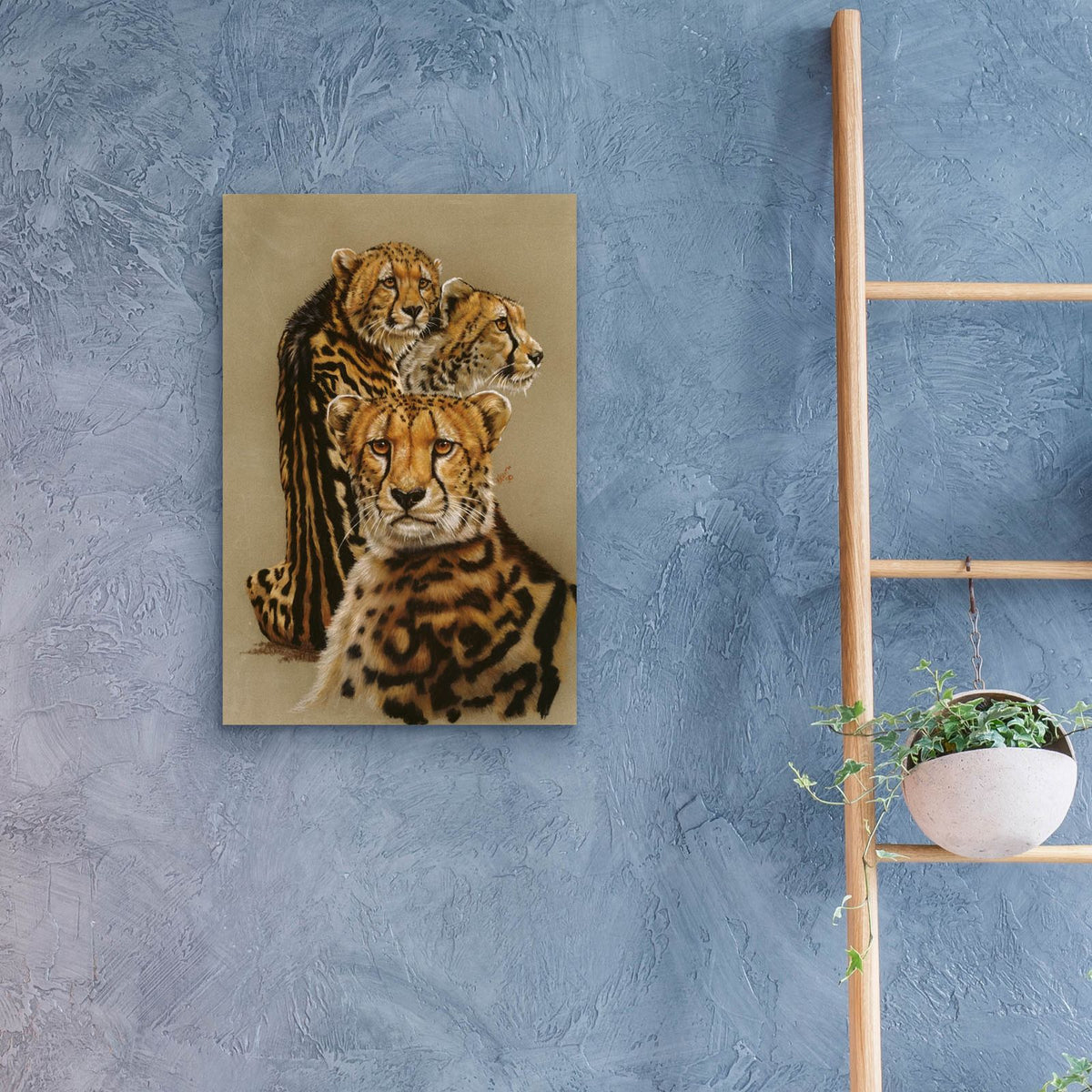 Majestic Vagabond by Barbara Keith - 16x24 acrylic wall art in a room