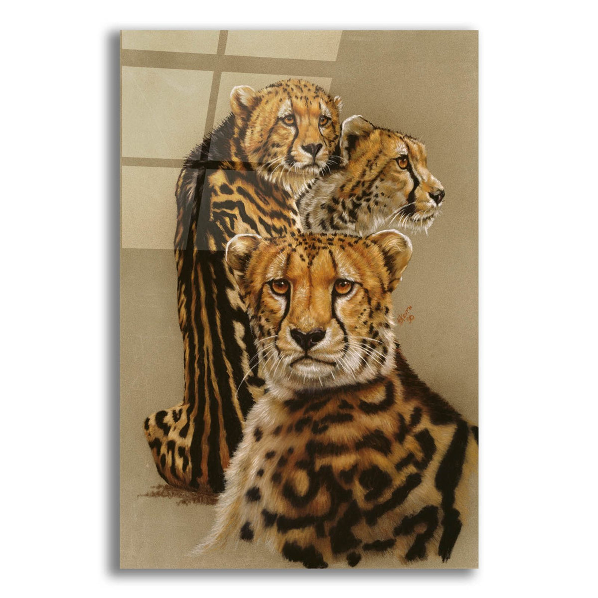 Majestic Vagabond by Barbara Keith acrylic glass wall art