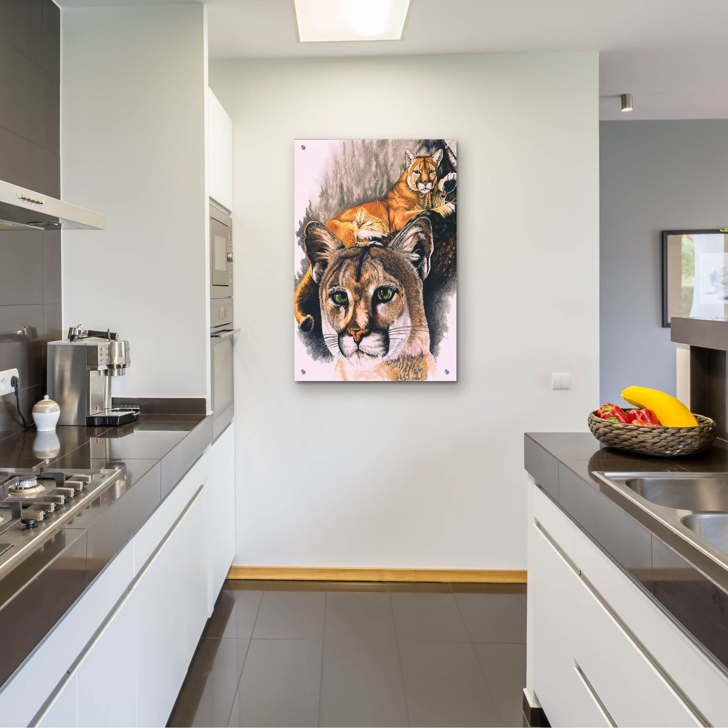 Epic Art 'Felis Concolor Cory' by Barbara Keith, Acrylic Glass Wall Art,24x36