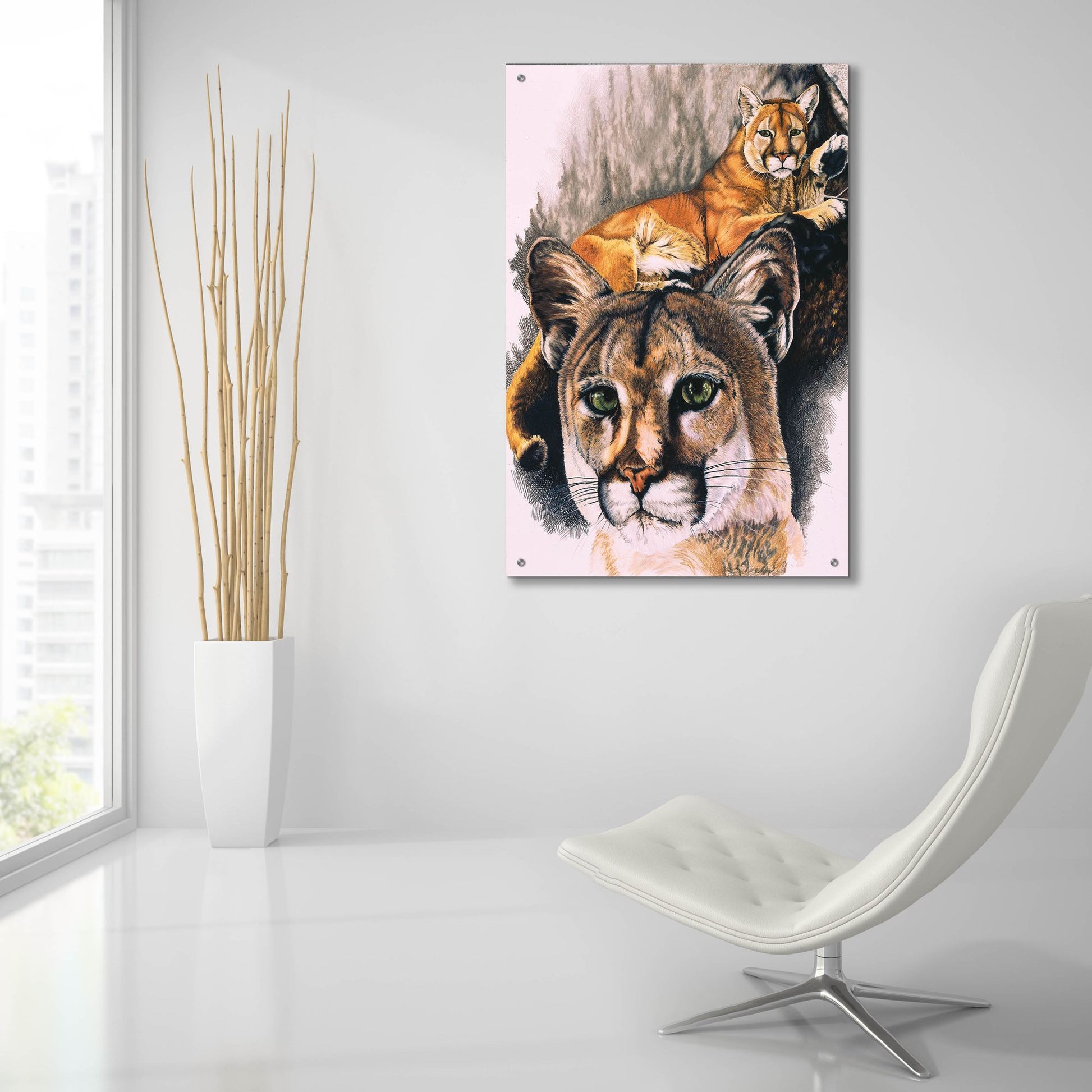 Epic Art 'Felis Concolor Cory' by Barbara Keith, Acrylic Glass Wall Art,24x36