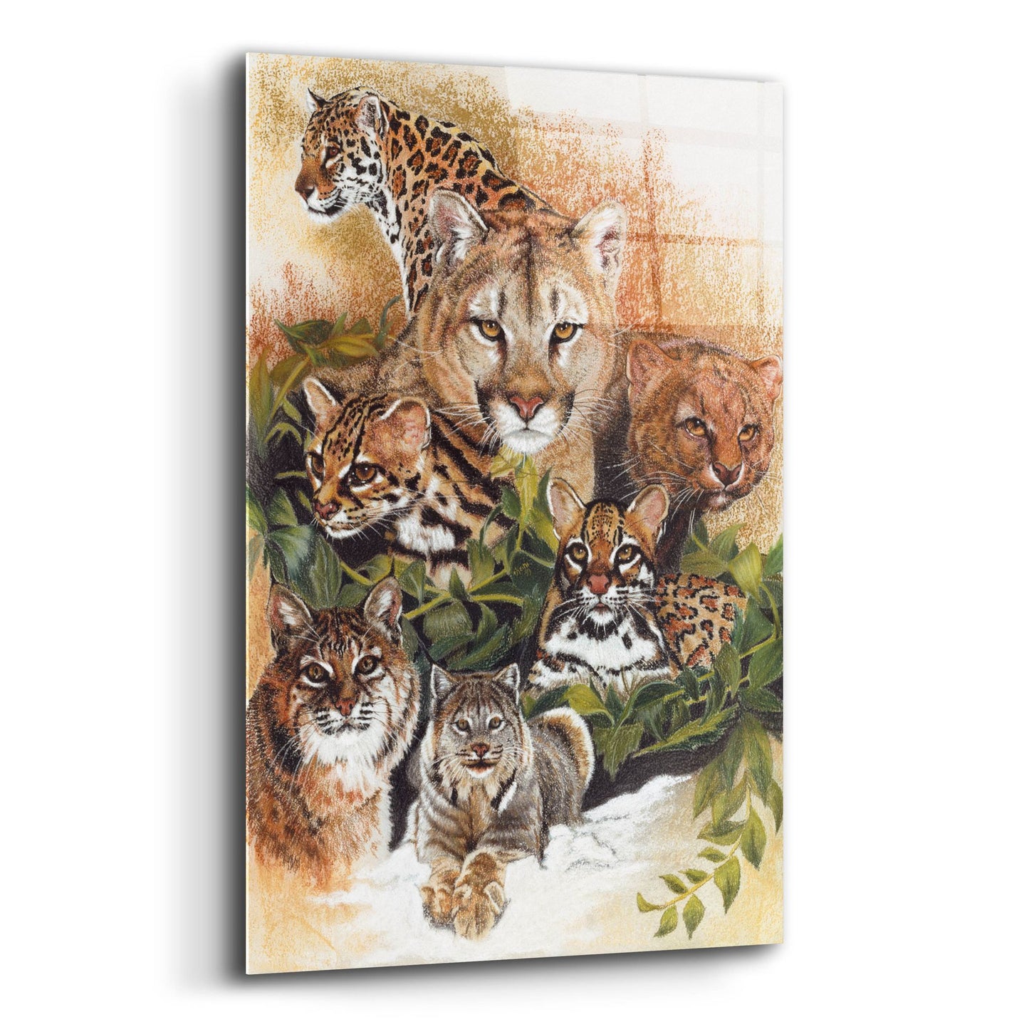 Epic Art 'Feline Rhapsody' by Barbara Keith, Acrylic Glass Wall Art,12x16