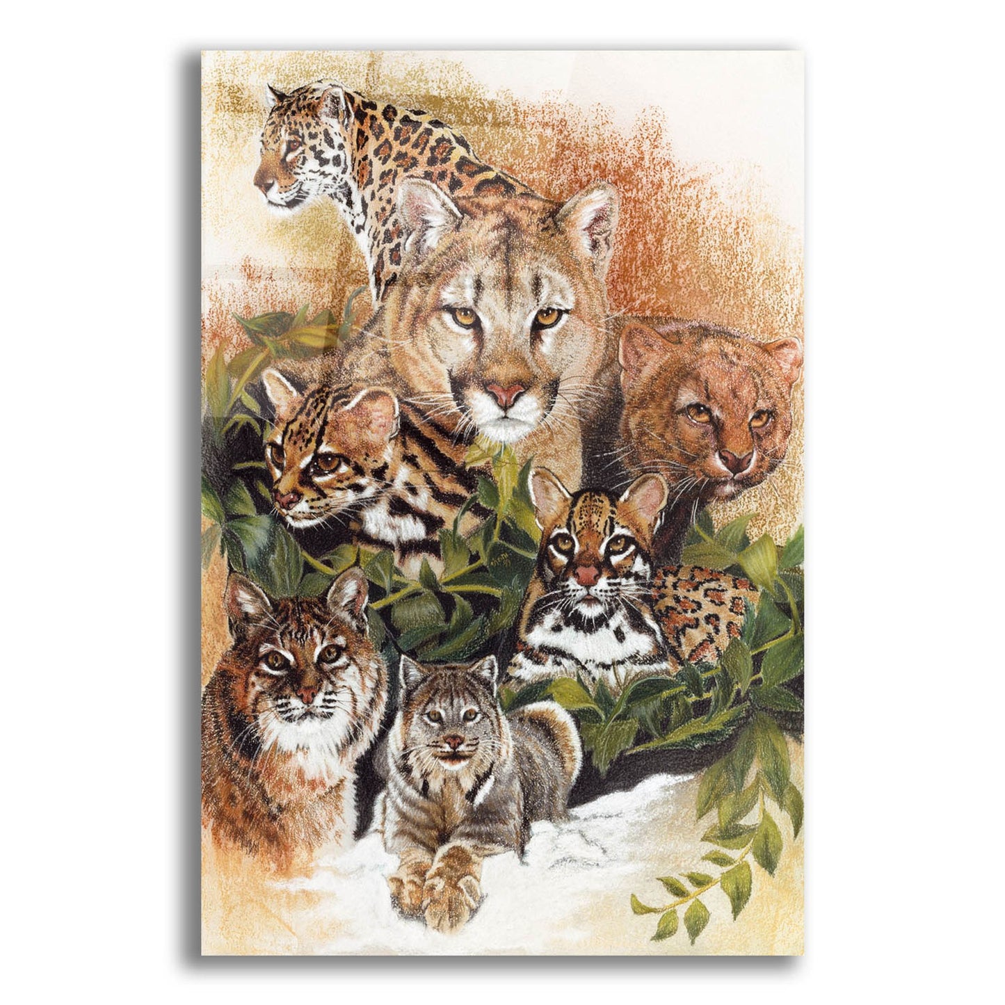 Epic Art 'Feline Rhapsody' by Barbara Keith, Acrylic Glass Wall Art,12x16