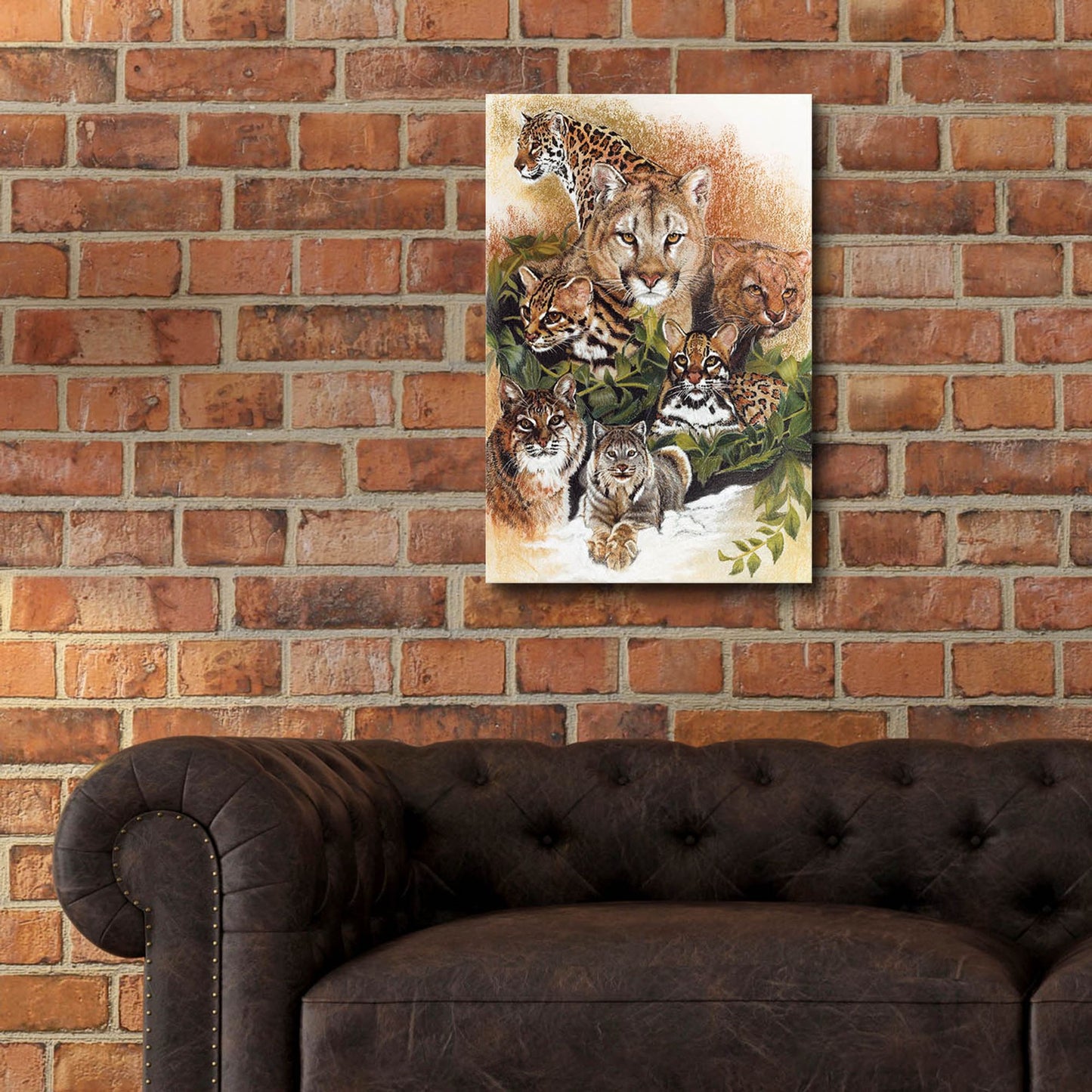 Epic Art 'Feline Rhapsody' by Barbara Keith, Acrylic Glass Wall Art,16x24