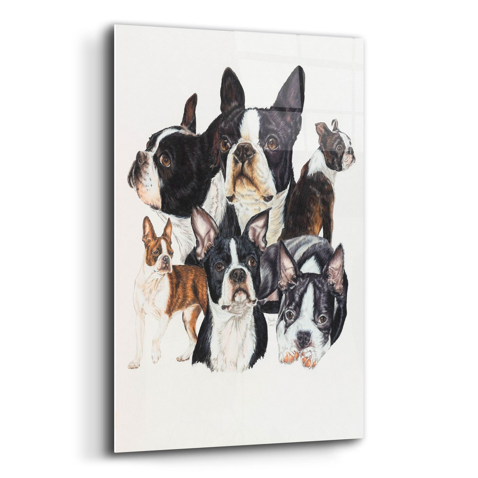 Epic Art 'Boston Terrier' by Barbara Keith, Acrylic Glass Wall Art,12x16