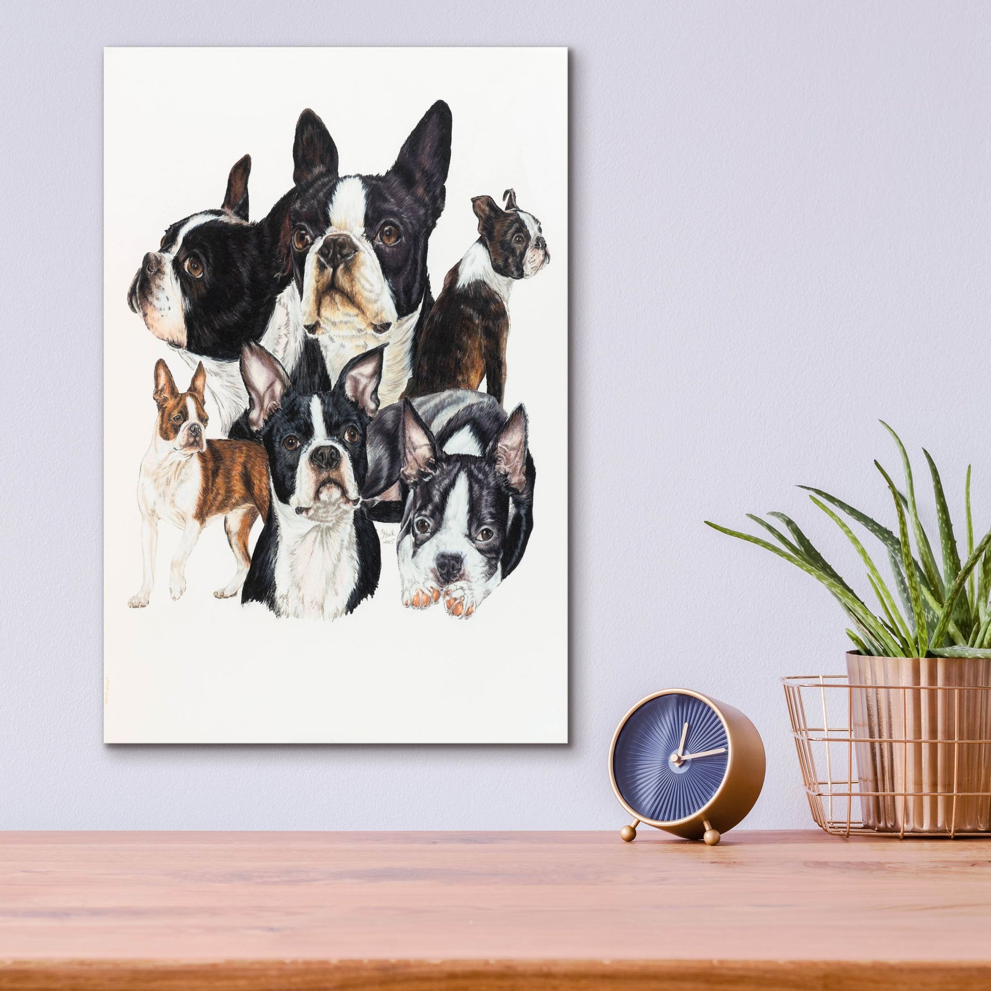 Epic Art 'Boston Terrier' by Barbara Keith, Acrylic Glass Wall Art,12x16