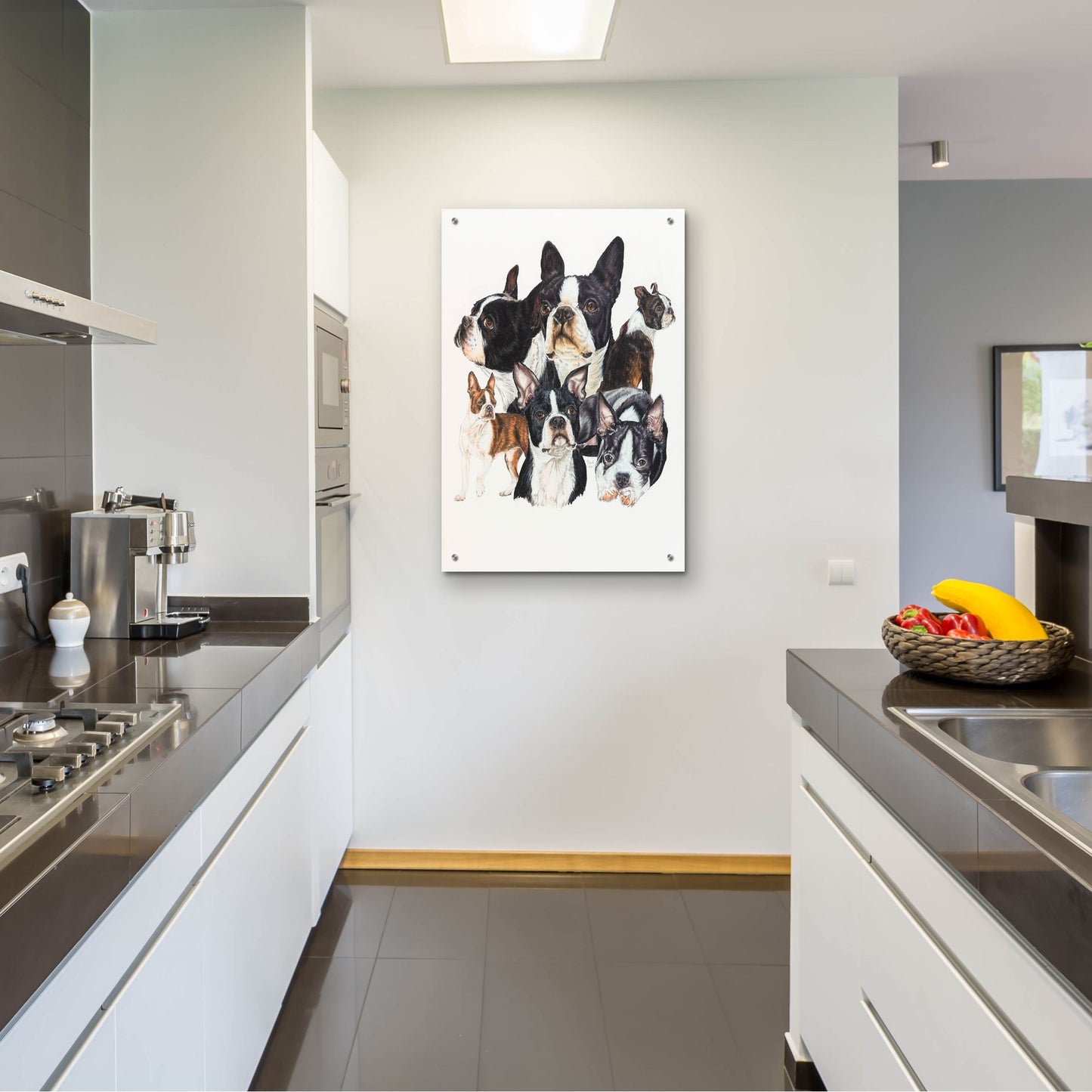 Epic Art 'Boston Terrier' by Barbara Keith, Acrylic Glass Wall Art,24x36