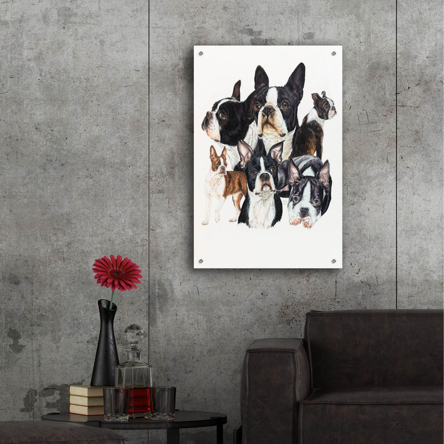 Epic Art 'Boston Terrier' by Barbara Keith, Acrylic Glass Wall Art,24x36