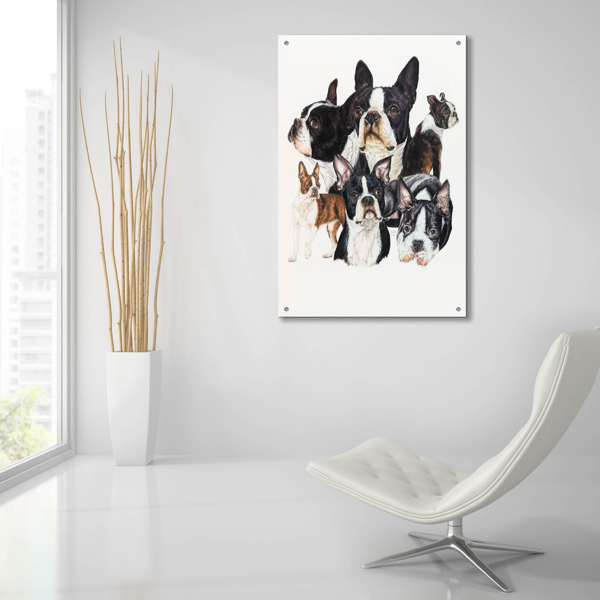 Epic Art 'Boston Terrier' by Barbara Keith, Acrylic Glass Wall Art,24x36