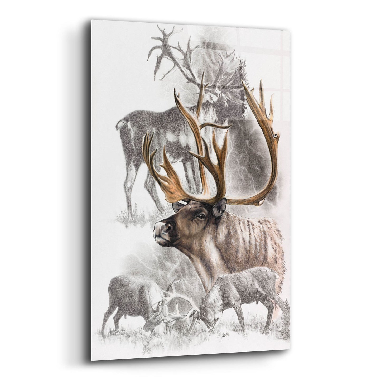 Epic Art 'Caribou' by Barbara Keith, Acrylic Glass Wall Art,12x16