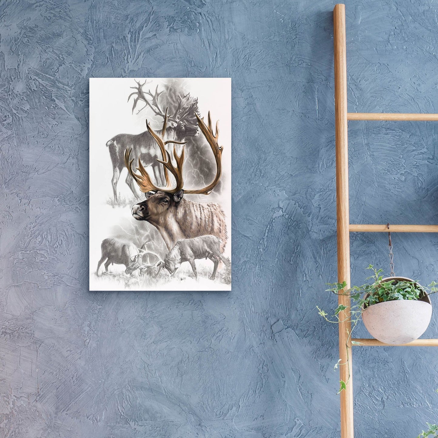 Epic Art 'Caribou' by Barbara Keith, Acrylic Glass Wall Art,16x24