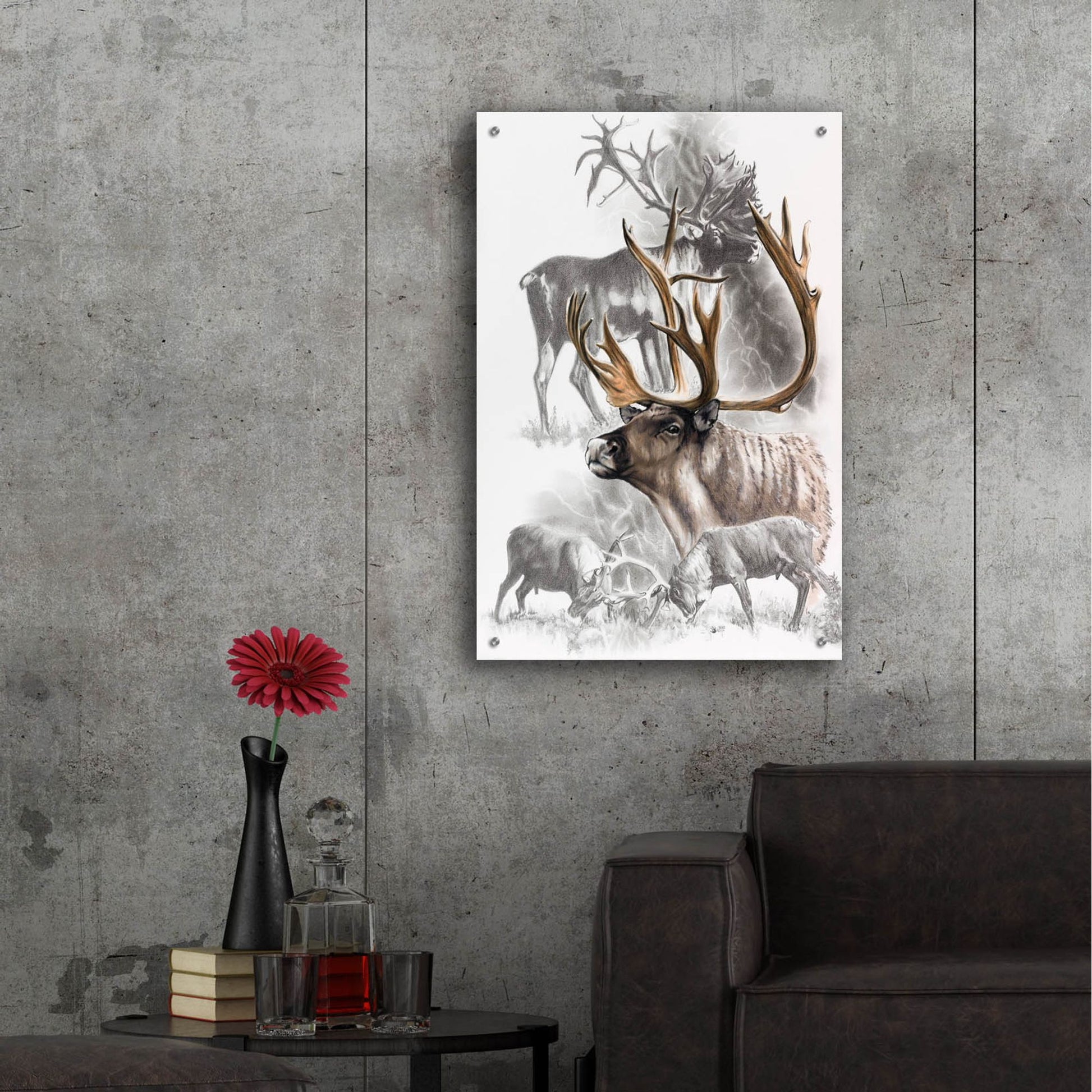 Epic Art 'Caribou' by Barbara Keith, Acrylic Glass Wall Art,24x36