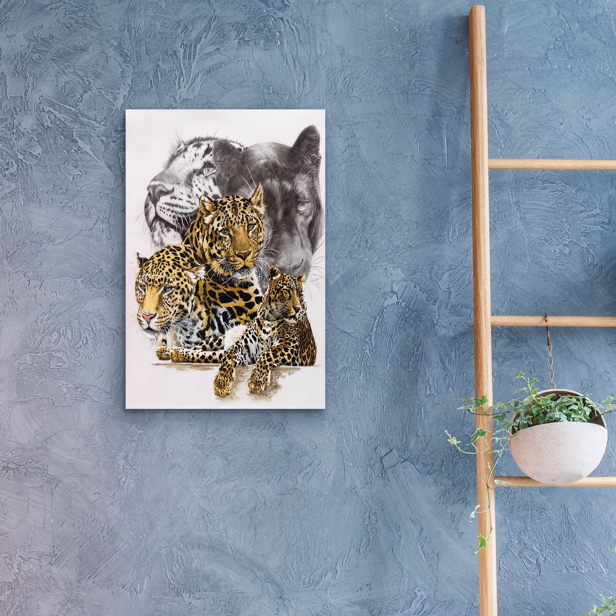 Elusive by Barbara Keith - 16x24 acrylic wall art in a room