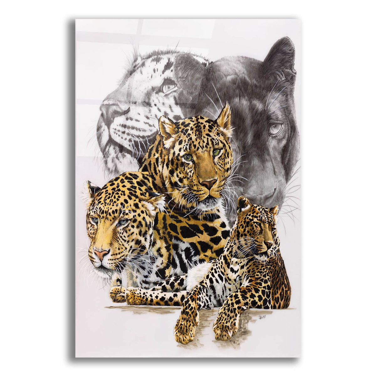 Elusive by Barbara Keith acrylic glass wall art