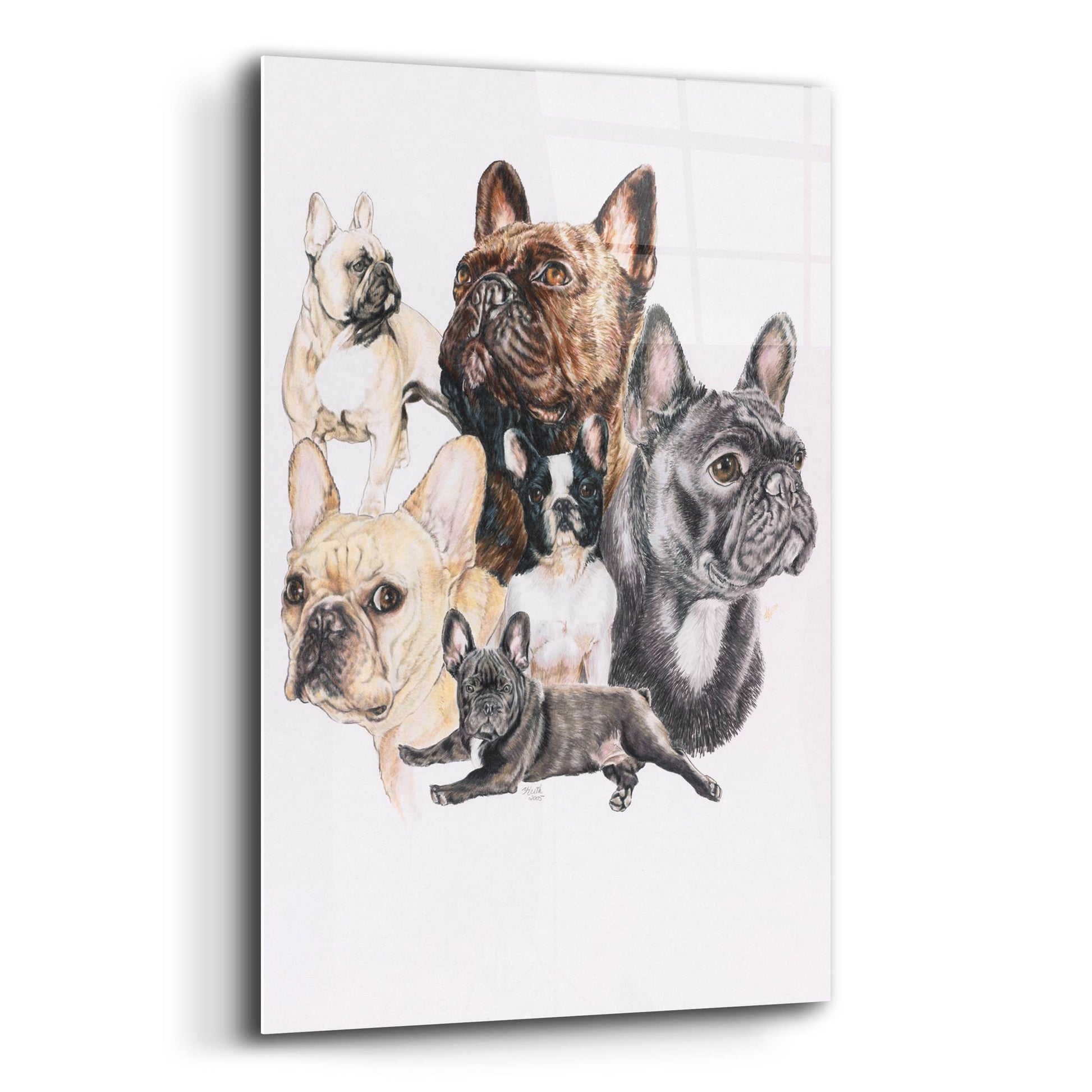 Epic Art 'French Bulldog 2' by Barbara Keith, Acrylic Glass Wall Art,12x16