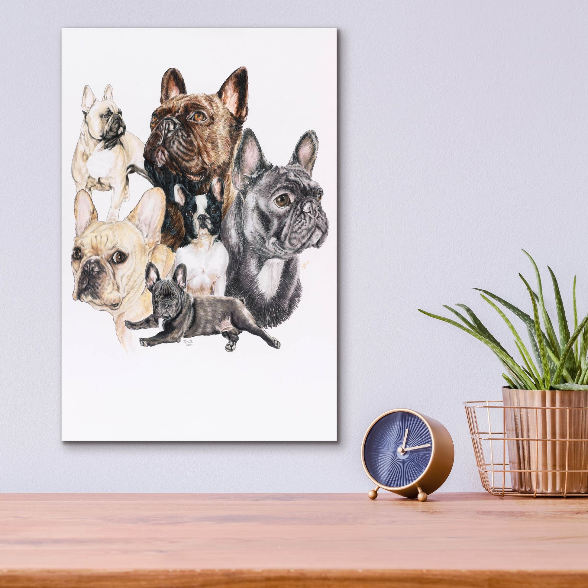 Epic Art 'French Bulldog 2' by Barbara Keith, Acrylic Glass Wall Art,12x16