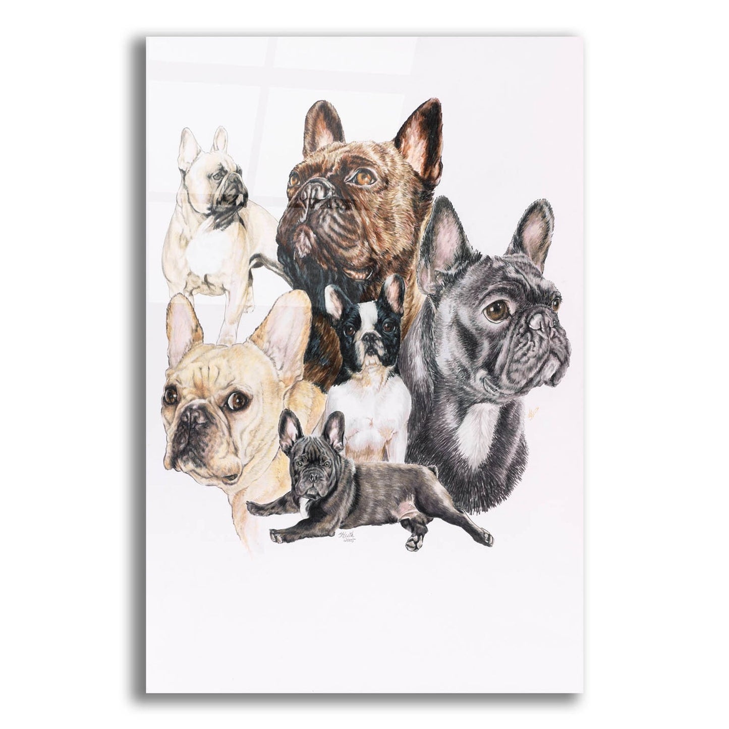 Epic Art 'French Bulldog 2' by Barbara Keith, Acrylic Glass Wall Art,12x16