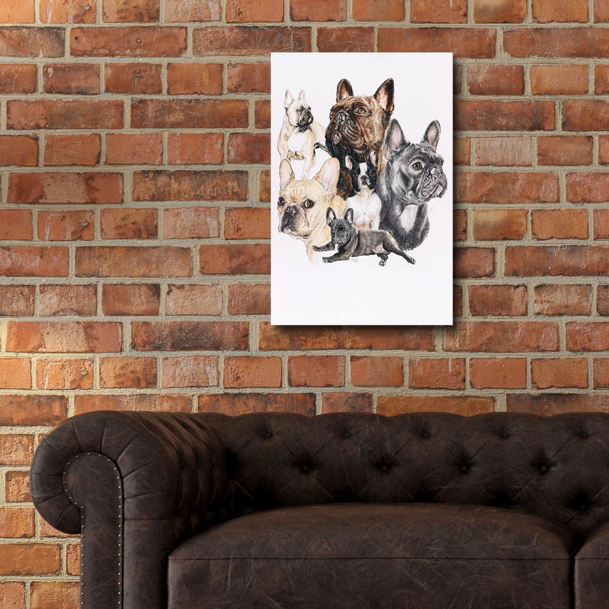 Epic Art 'French Bulldog 2' by Barbara Keith, Acrylic Glass Wall Art,16x24