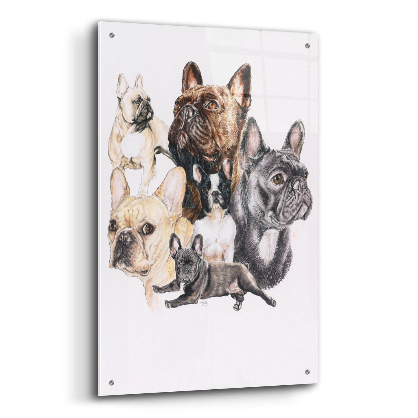 Epic Art 'French Bulldog 2' by Barbara Keith, Acrylic Glass Wall Art,24x36