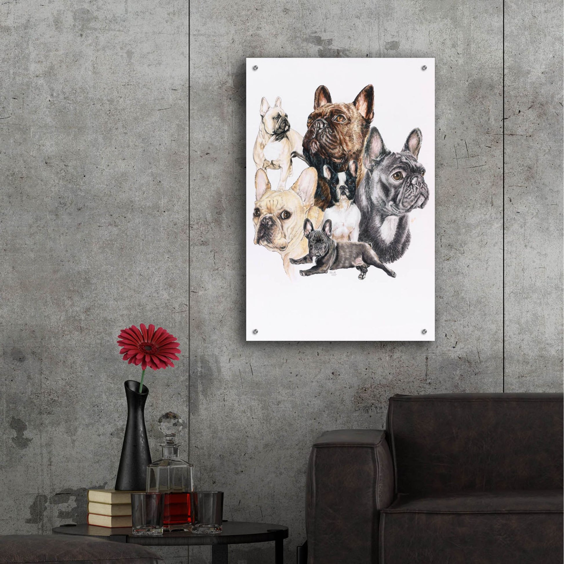 Epic Art 'French Bulldog 2' by Barbara Keith, Acrylic Glass Wall Art,24x36