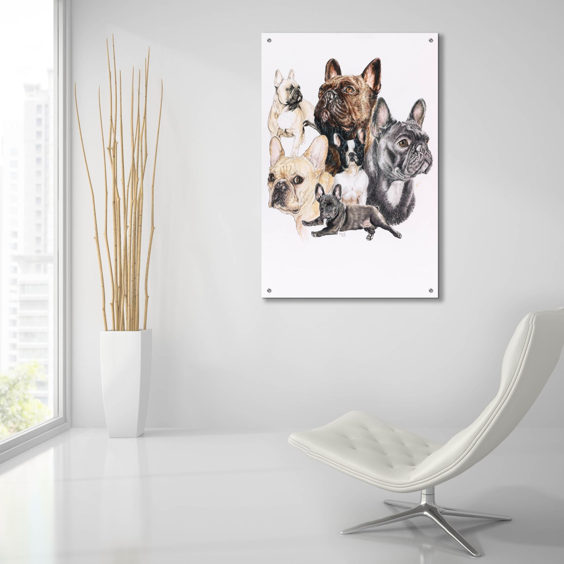 Epic Art 'French Bulldog 2' by Barbara Keith, Acrylic Glass Wall Art,24x36