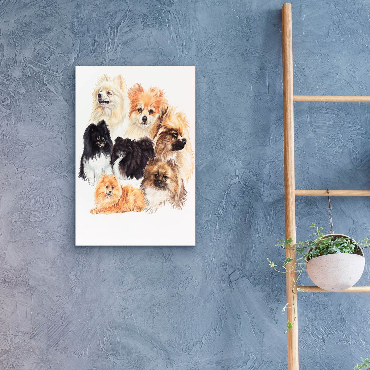 Pomeraneian by Barbara Keith - 16x24 acrylic wall art in a room
