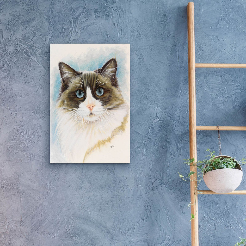 Ragdoll 2 by Barbara Keith - 16x24 acrylic wall art in a room