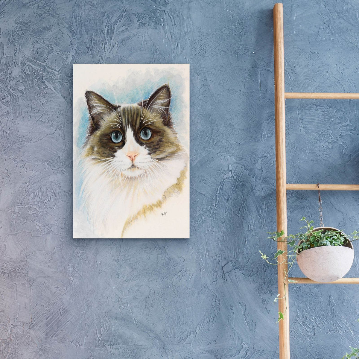 Ragdoll 2 by Barbara Keith - 16x24 acrylic wall art in a room