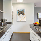 Ragdoll 2 by Barbara Keith - 24x36 acrylic wall art in a room
