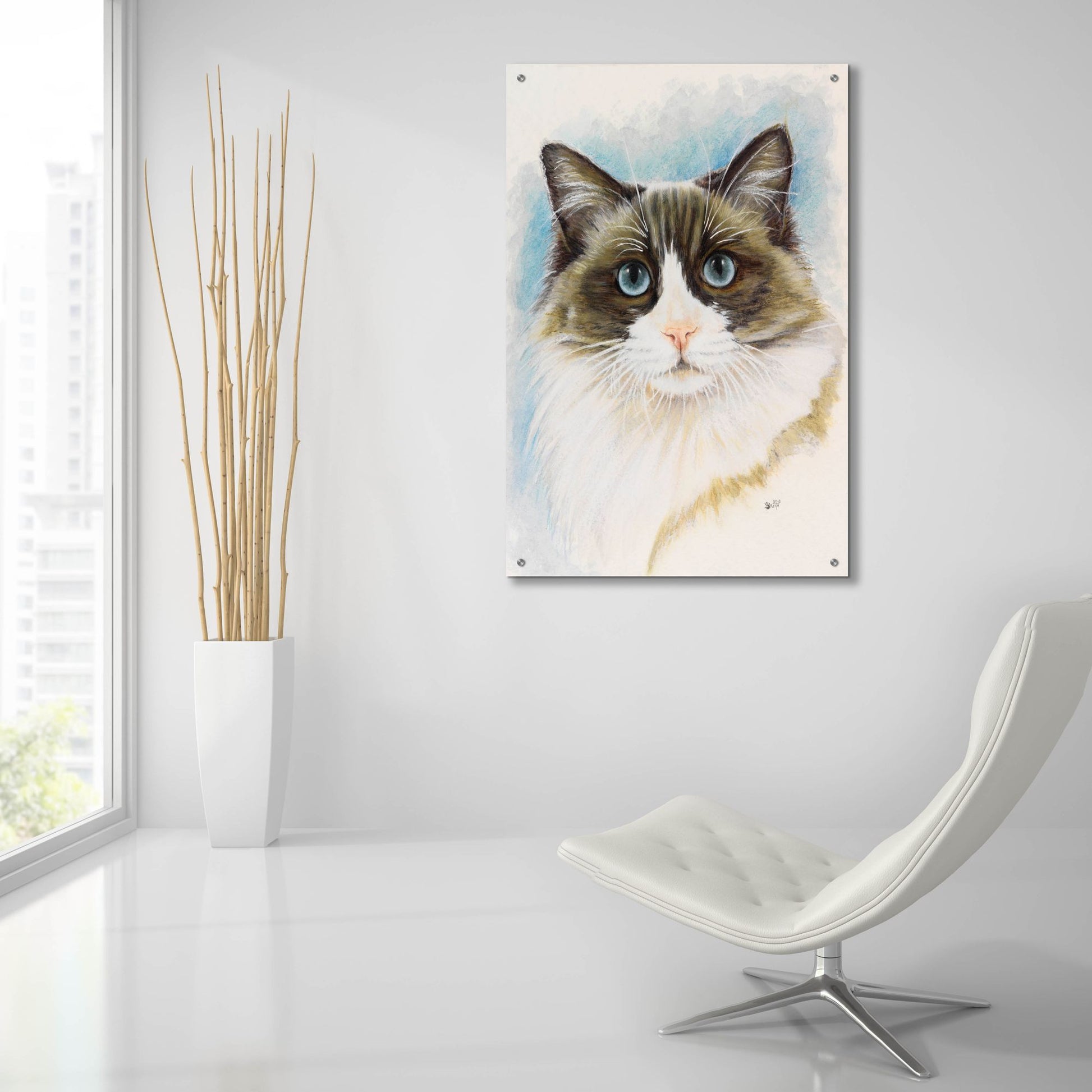 Epic Art 'Ragdoll 2' by Barbara Keith, Acrylic Glass Wall Art,24x36