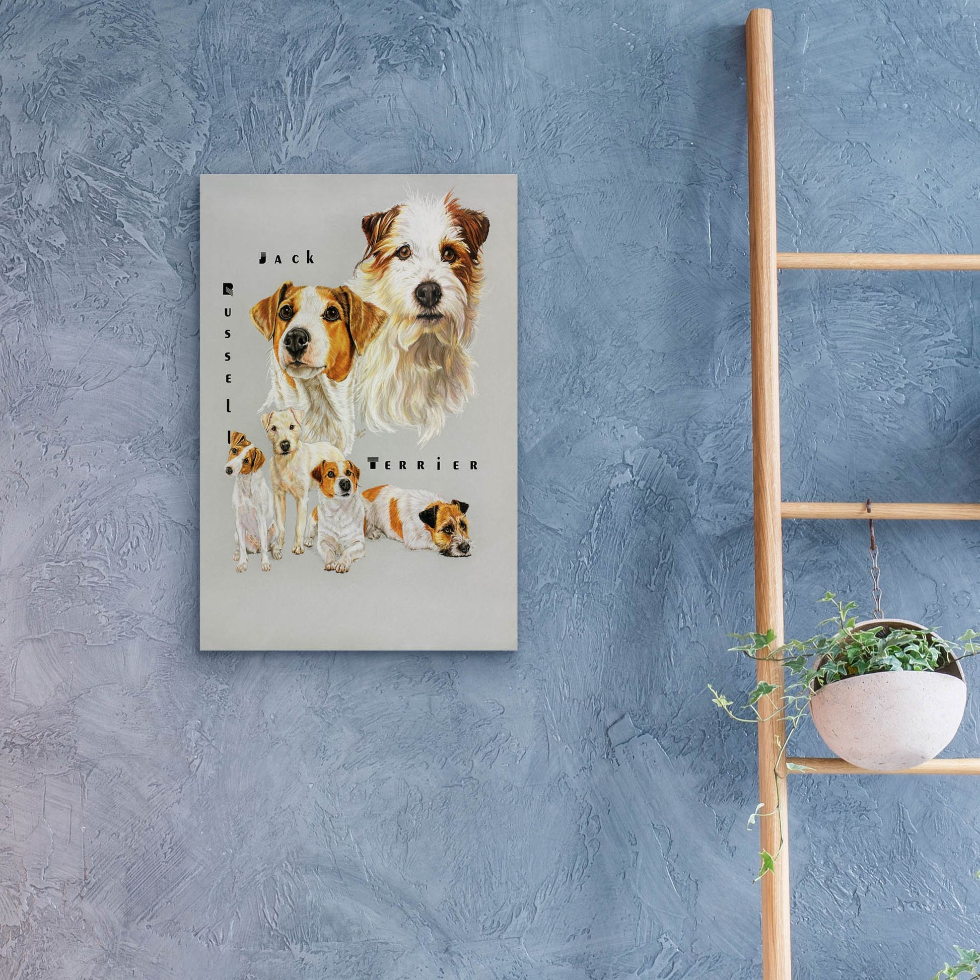 Epic Art 'Jack Russell Terrier' by Barbara Keith, Acrylic Glass Wall Art,16x24