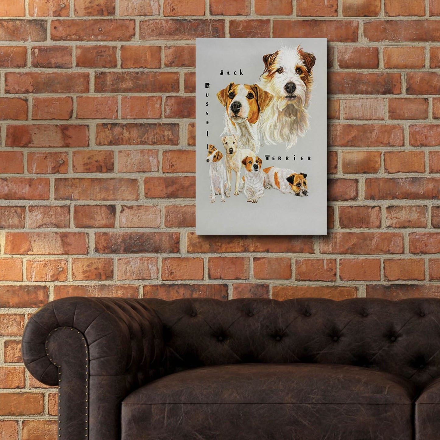 Epic Art 'Jack Russell Terrier' by Barbara Keith, Acrylic Glass Wall Art,16x24