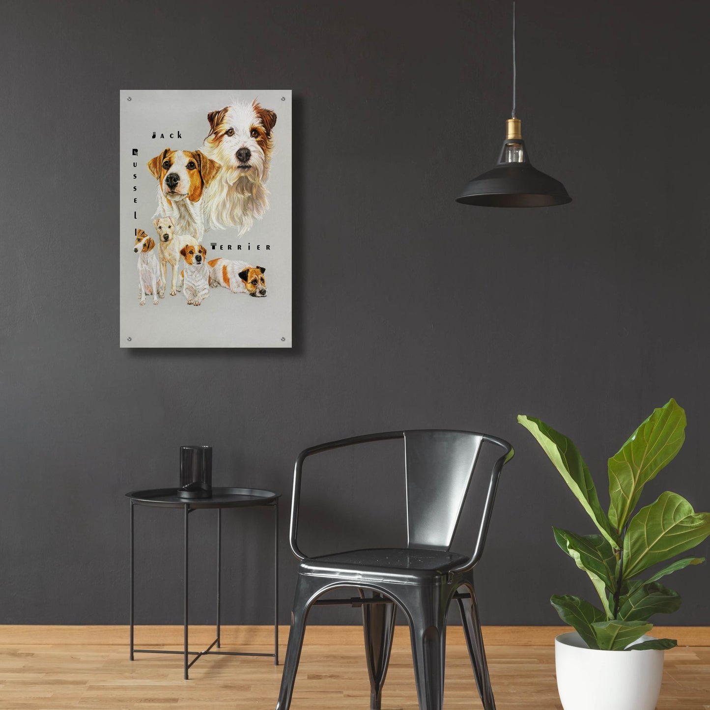 Epic Art 'Jack Russell Terrier' by Barbara Keith, Acrylic Glass Wall Art,24x36