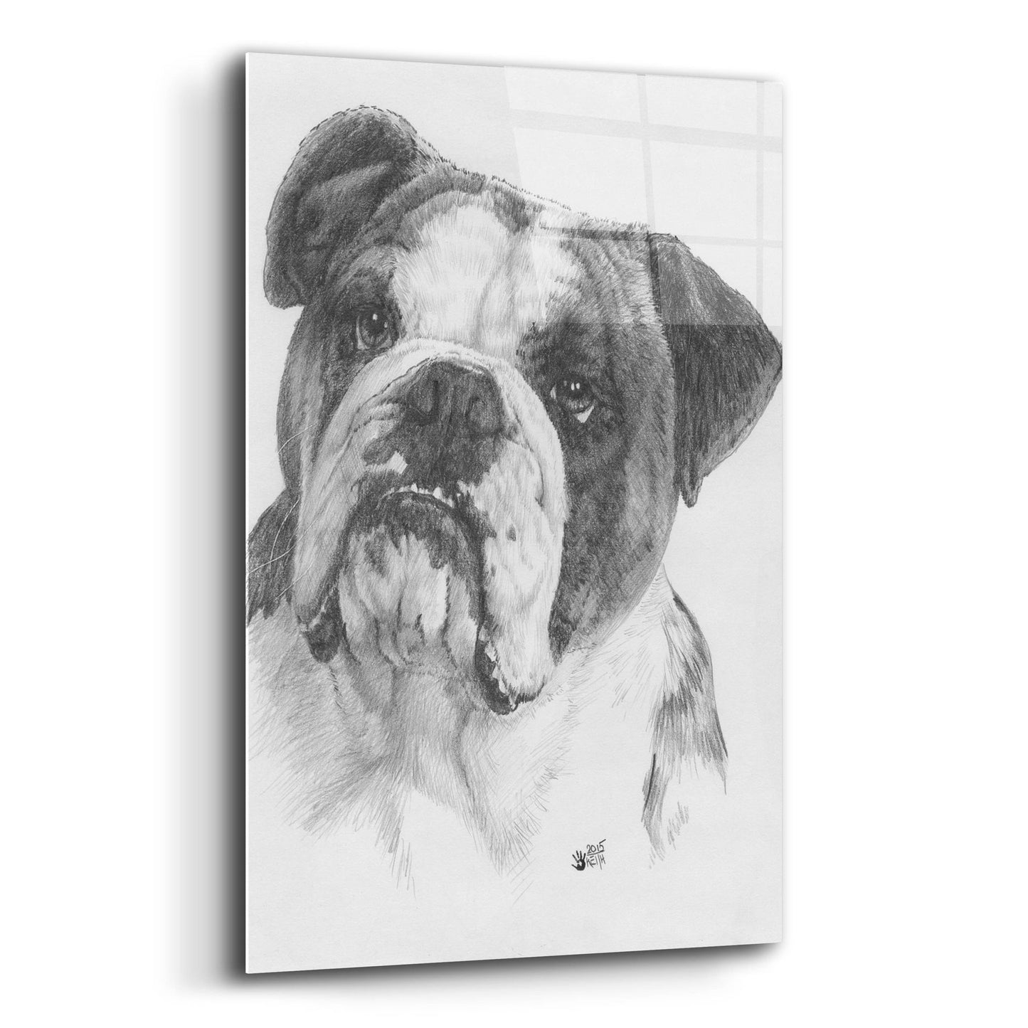 Epic Art 'American Bulldog' by Barbara Keith, Acrylic Glass Wall Art,12x16