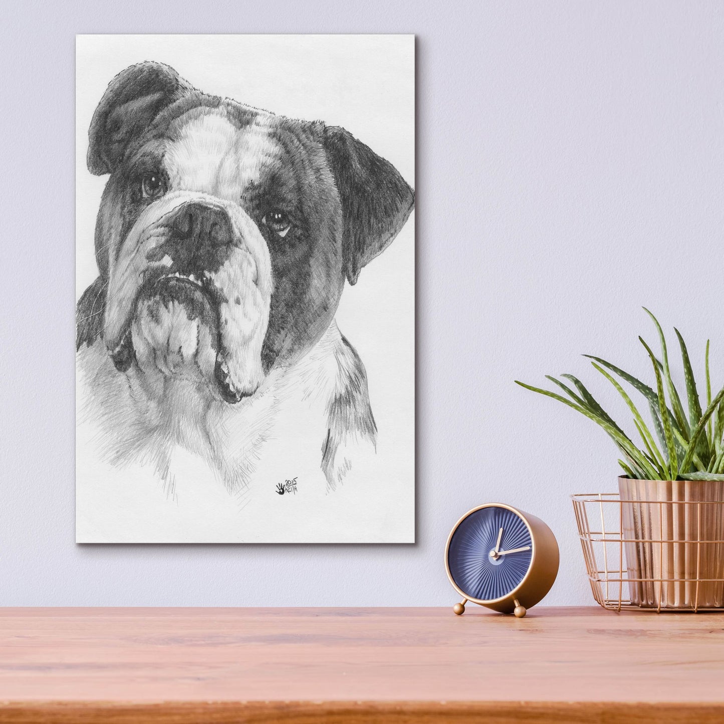 Epic Art 'American Bulldog' by Barbara Keith, Acrylic Glass Wall Art,12x16