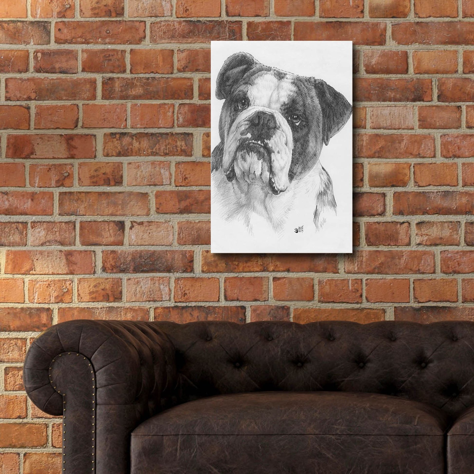 Epic Art 'American Bulldog' by Barbara Keith, Acrylic Glass Wall Art,16x24